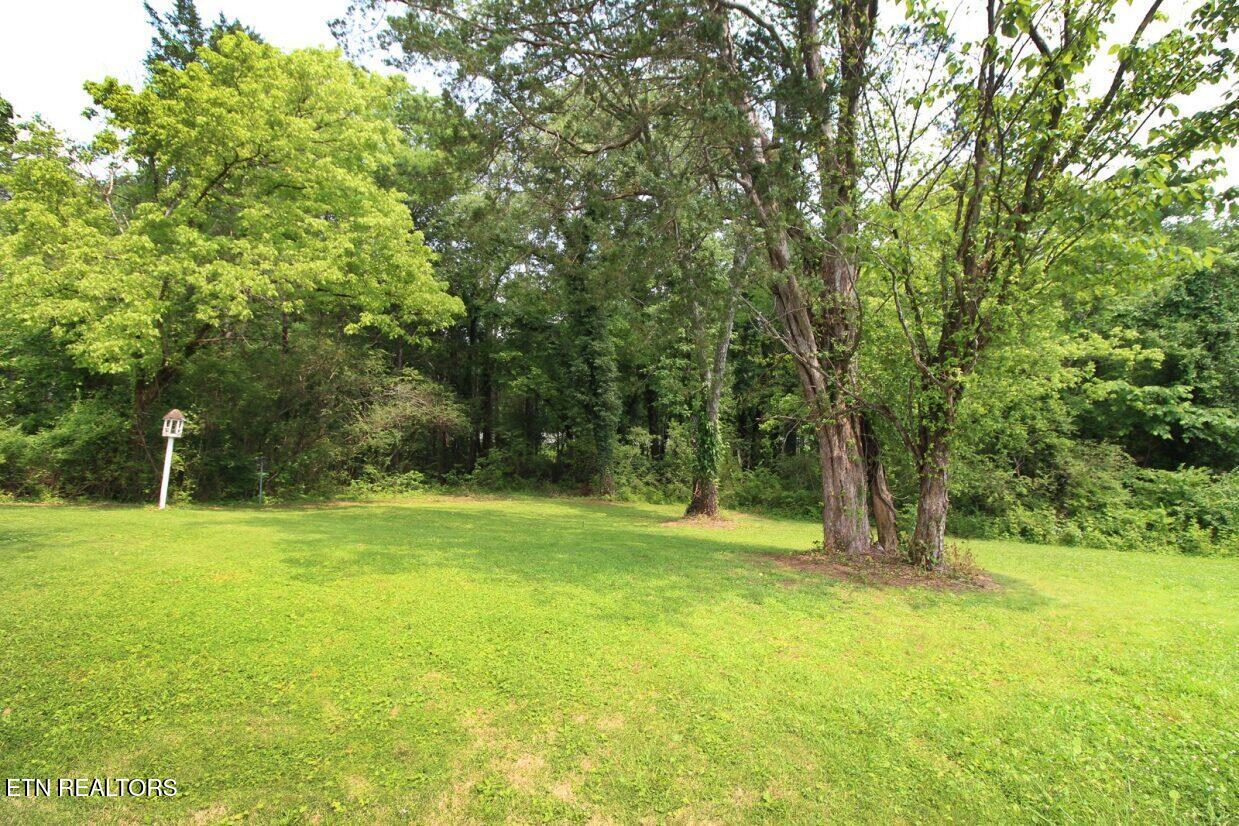 119 Briar Road Oak Ridge TN 37830