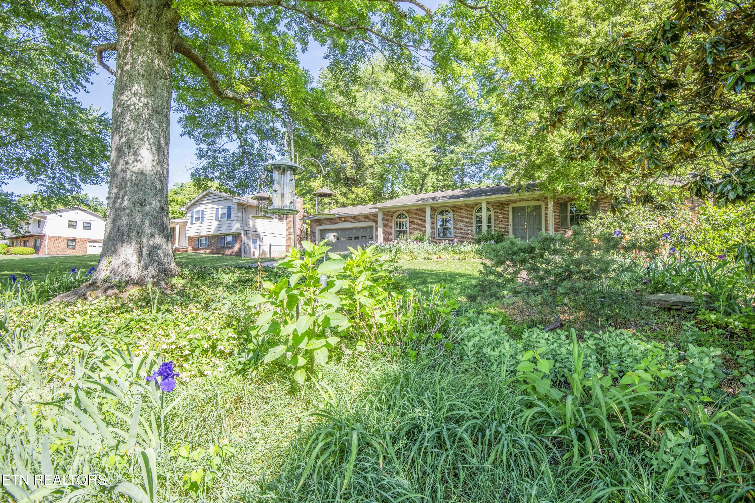 9317 Sarasota Drive Knoxville TN 37923