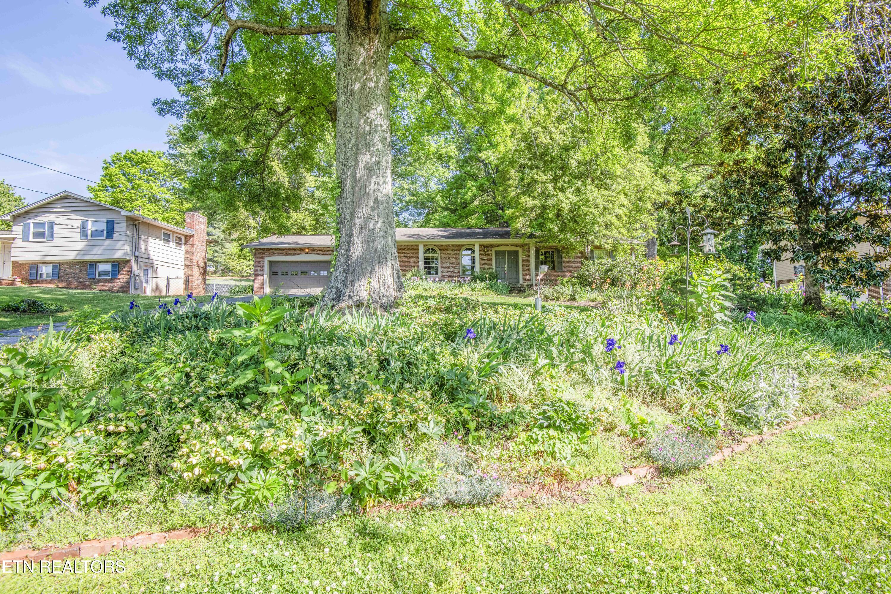 9317 Sarasota Drive Knoxville TN 37923