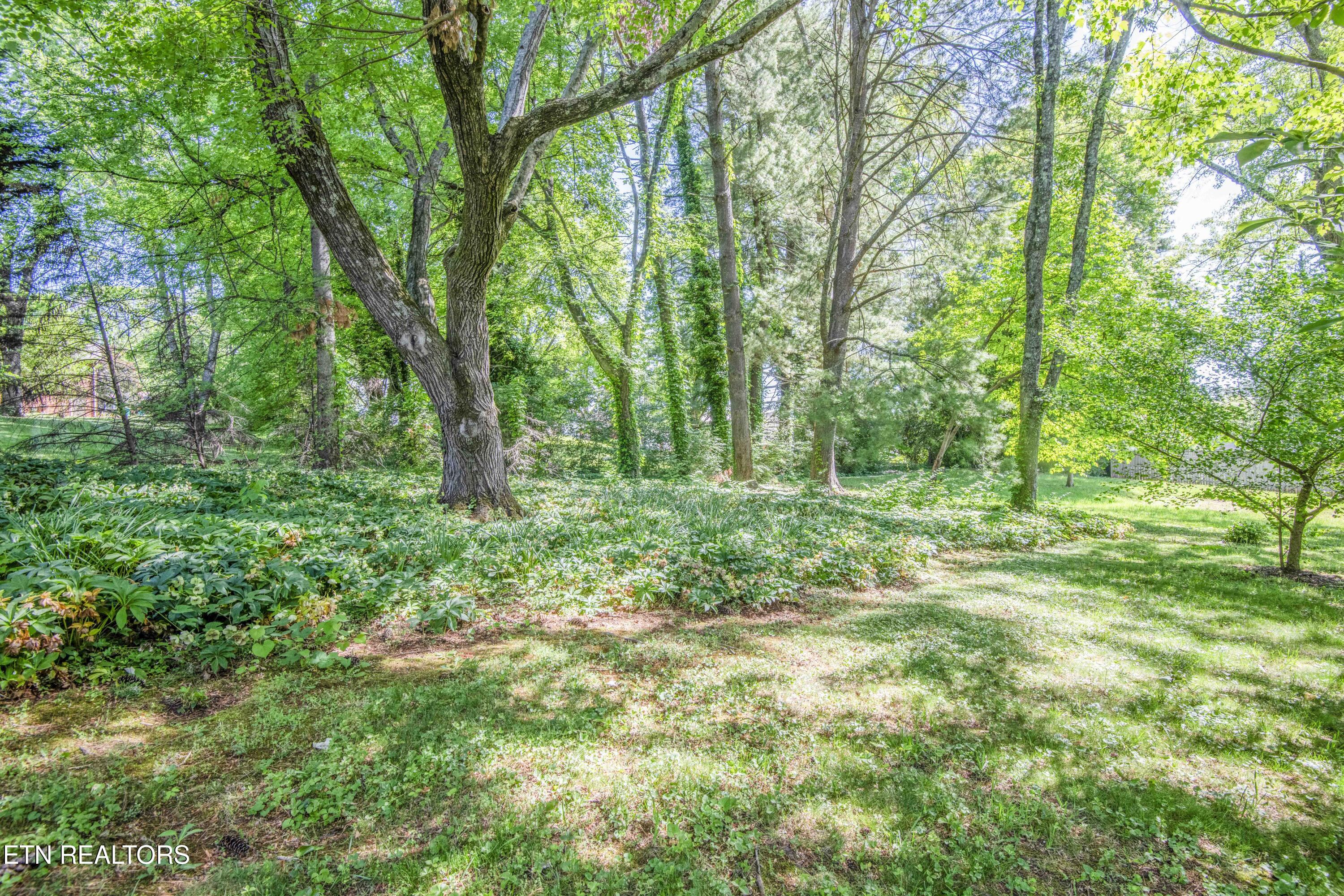 9317 Sarasota Drive Knoxville TN 37923