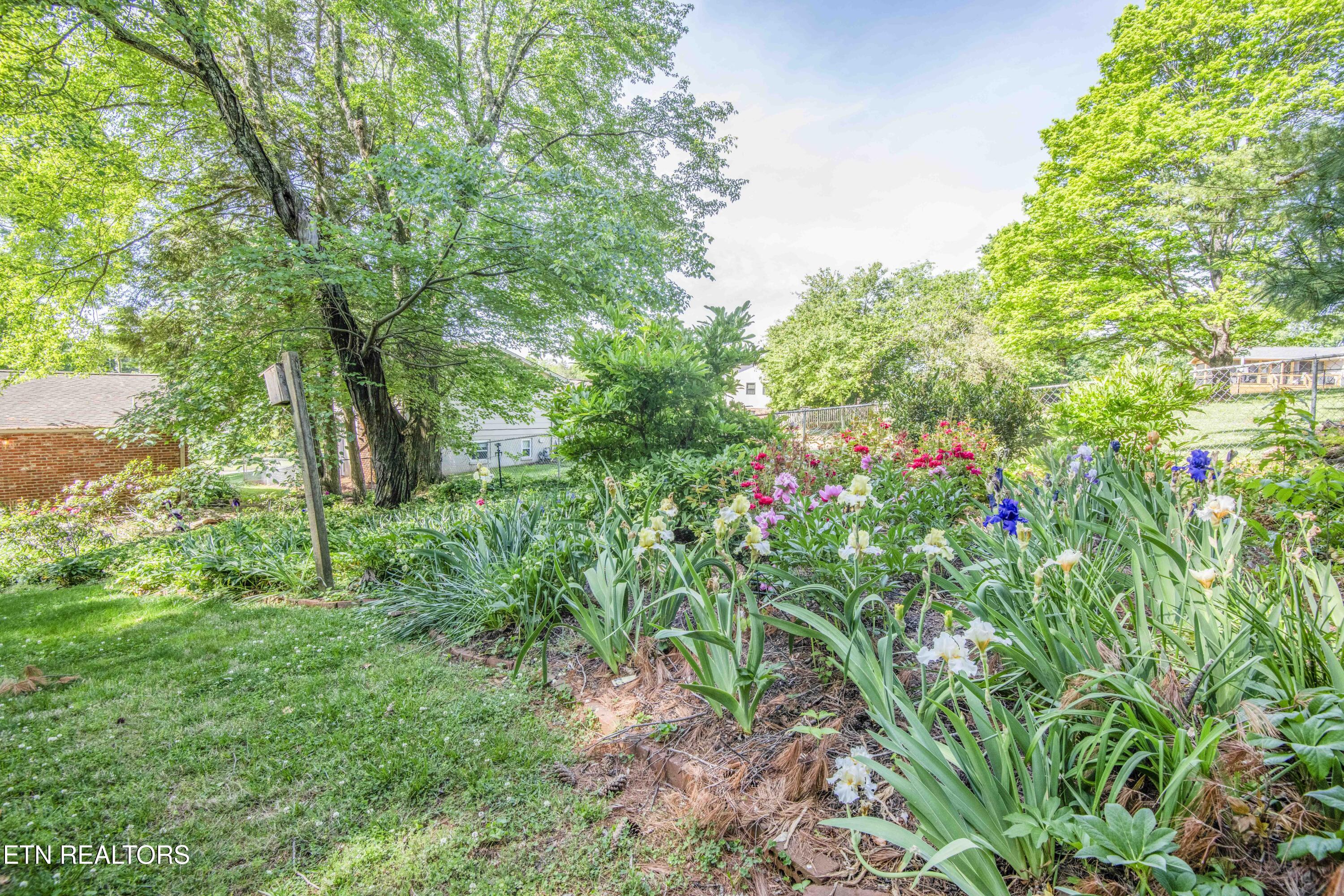 9317 Sarasota Drive Knoxville TN 37923
