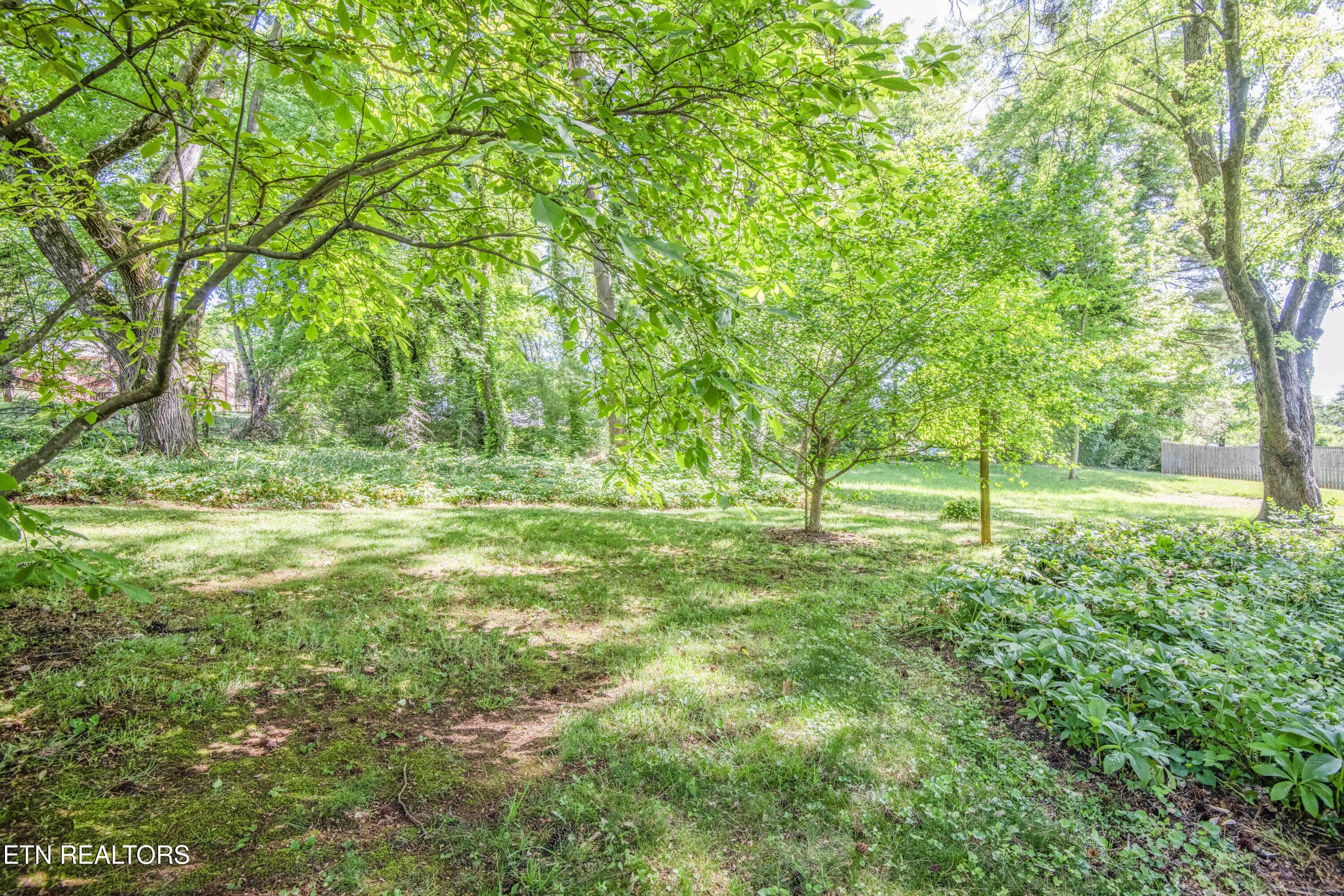 9317 Sarasota Drive Knoxville TN 37923