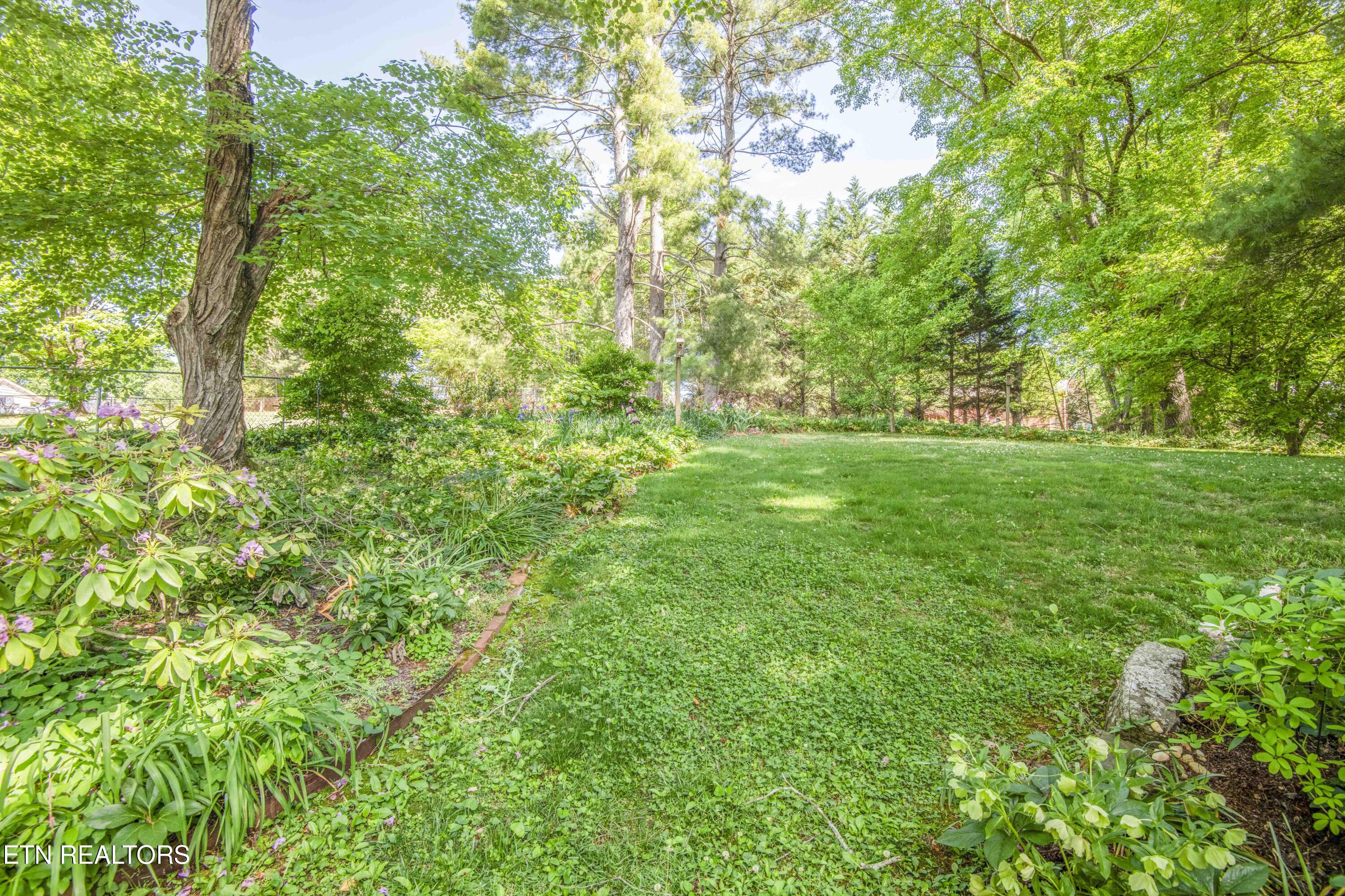 9317 Sarasota Drive Knoxville TN 37923