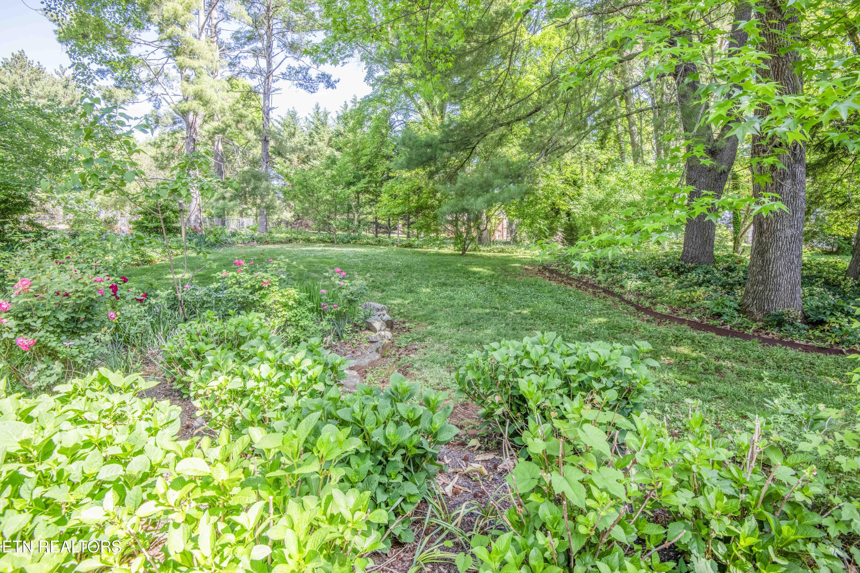 9317 Sarasota Drive Knoxville TN 37923