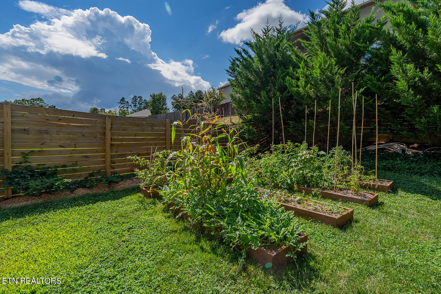 3447 Greentree Lane Knoxville TN 37931