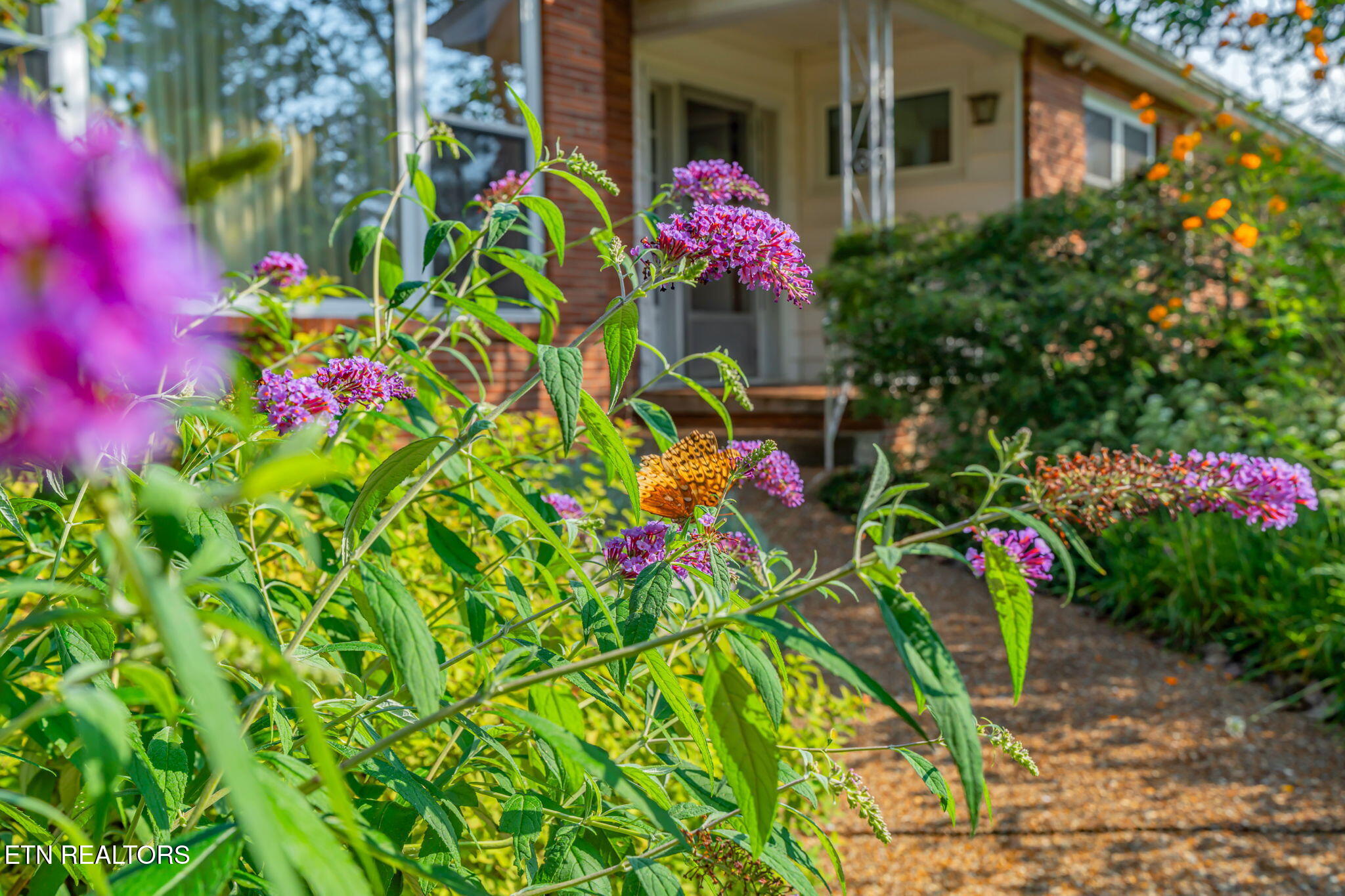 4400 Clinch View Lane Knoxville TN 37931