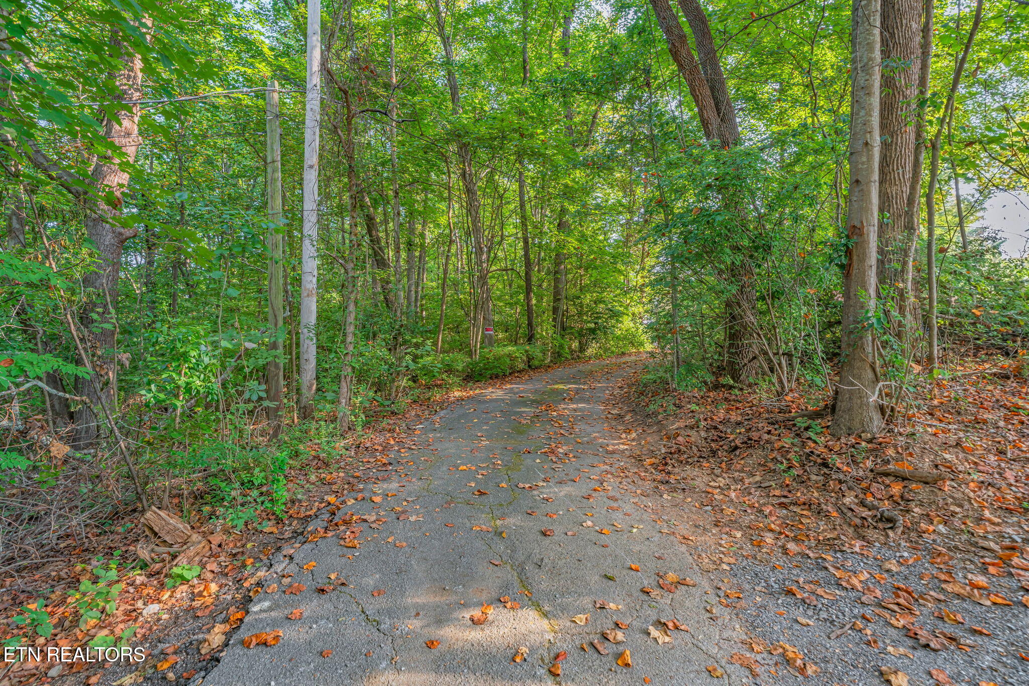 4400 Clinch View Lane Knoxville TN 37931