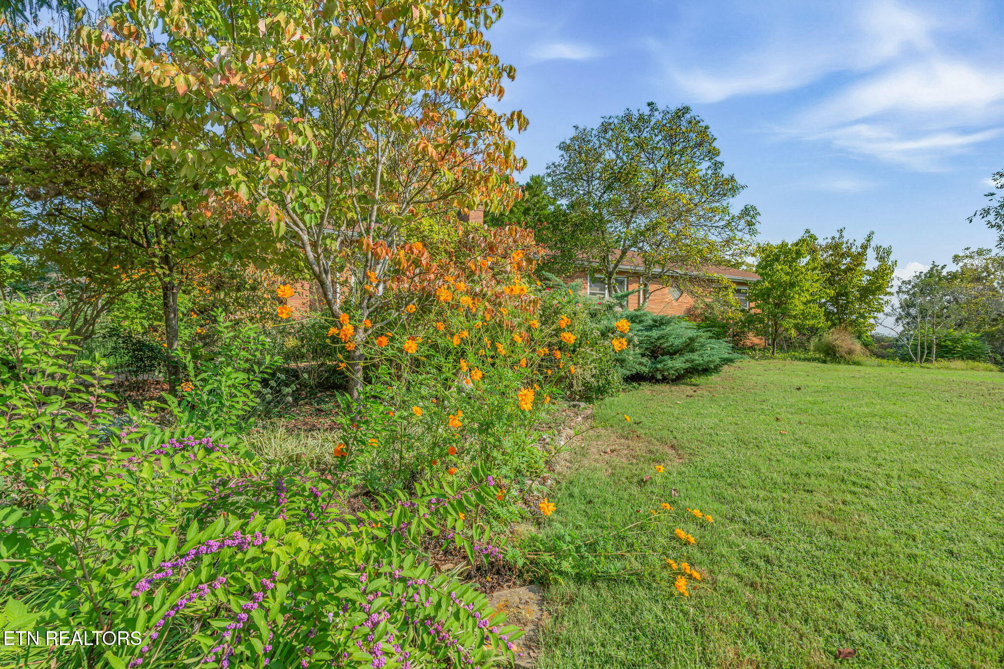 4400 Clinch View Lane Knoxville TN 37931