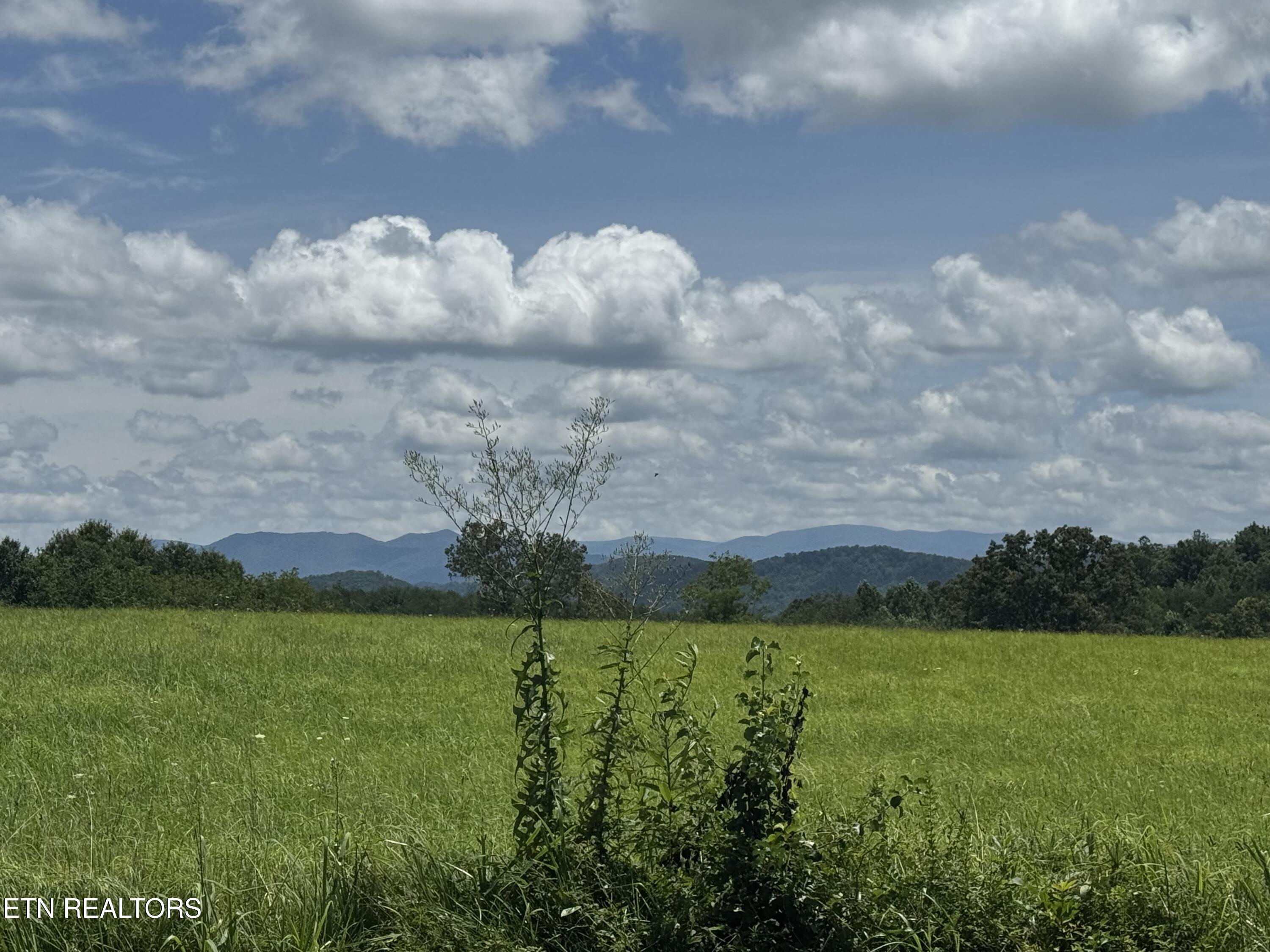 131 Lee Road Tellico Plains TN 37385