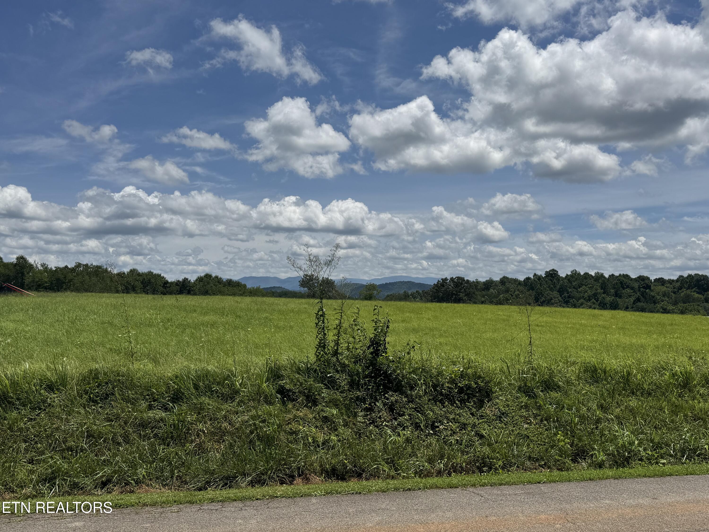 131 Lee Road Tellico Plains TN 37385