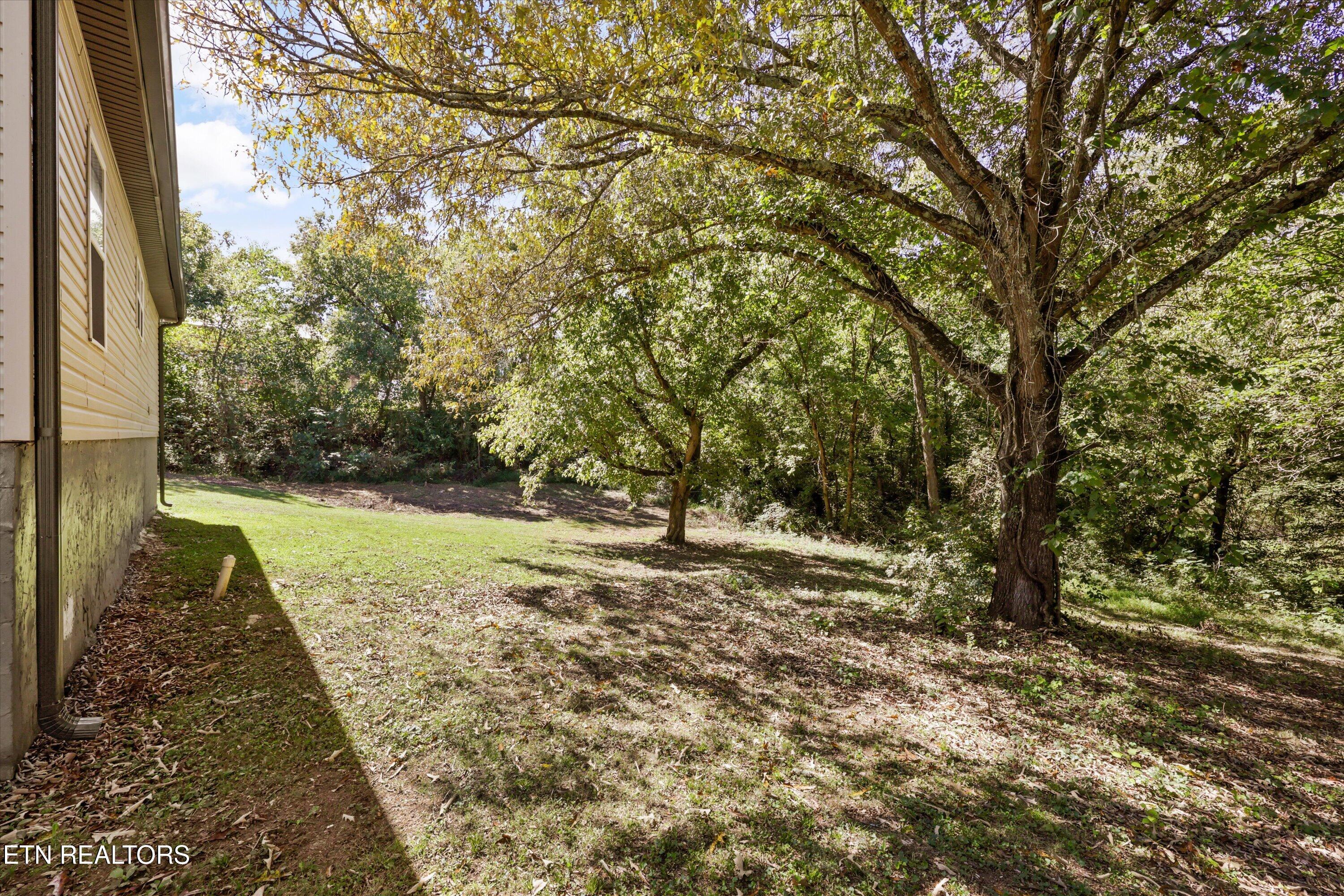 109 Cedar Ridge Road Knoxville TN 37924