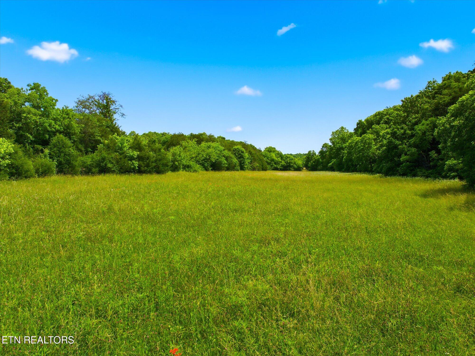 140 Donahue Road Luttrell TN 37779