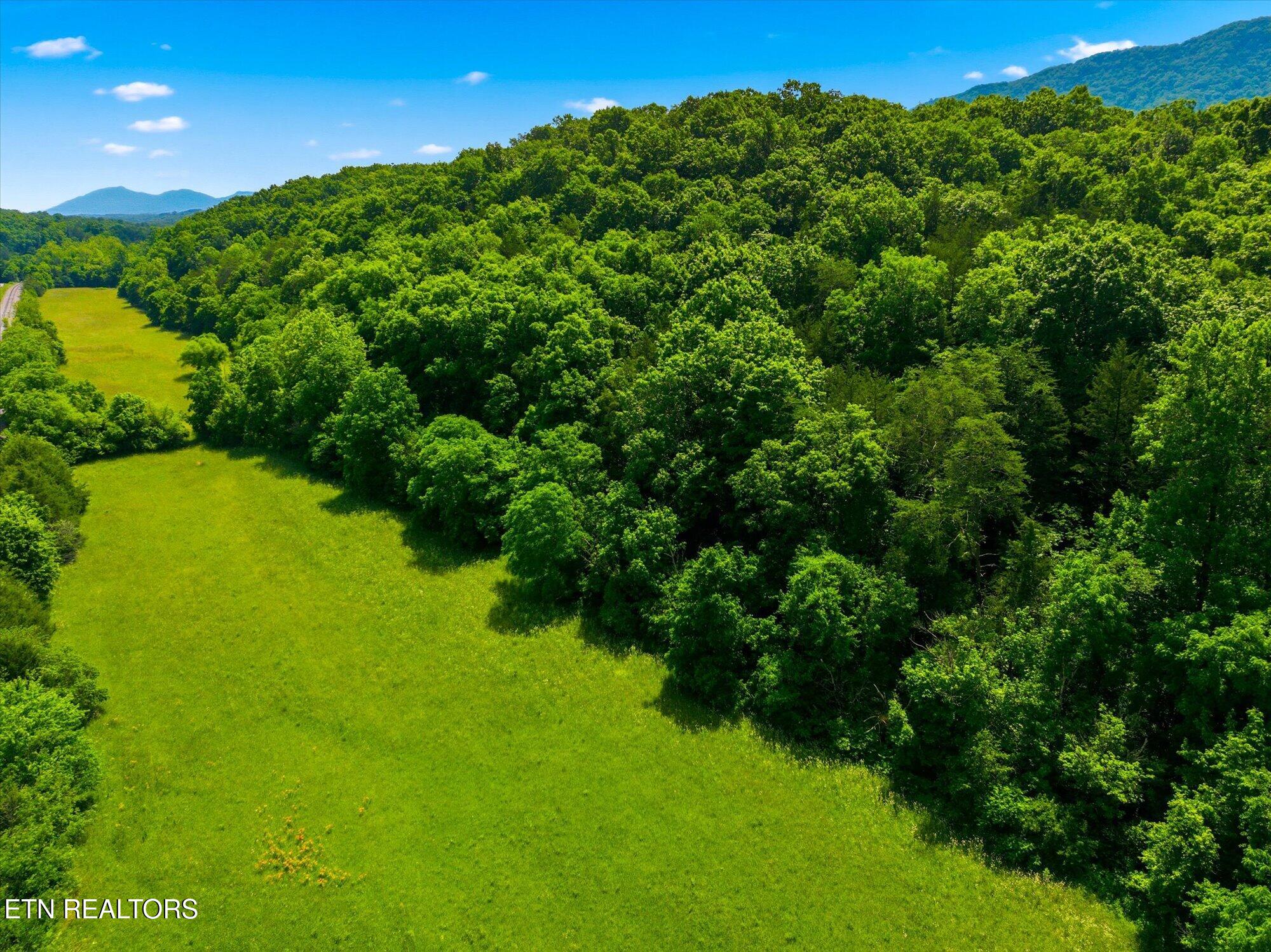 140 Donahue Road Luttrell TN 37779