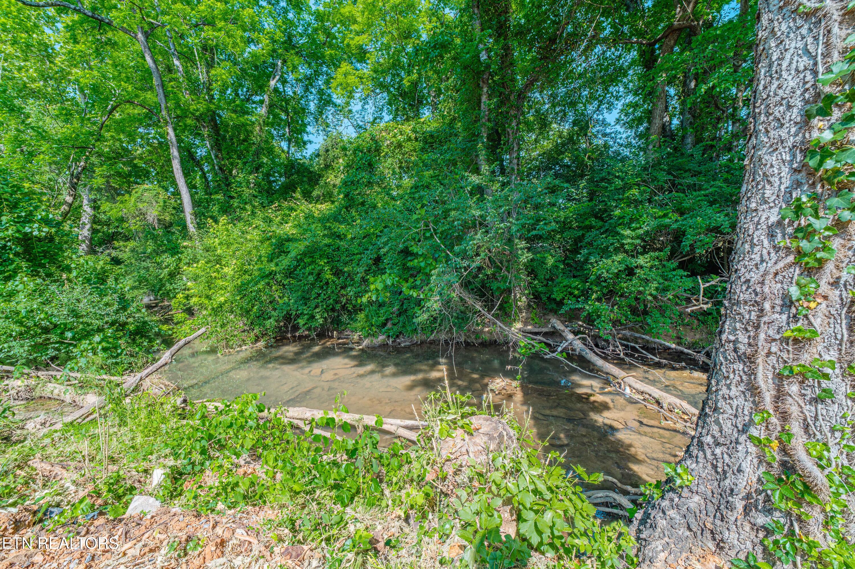 353 W Goddard Avenue Maryville TN 37803