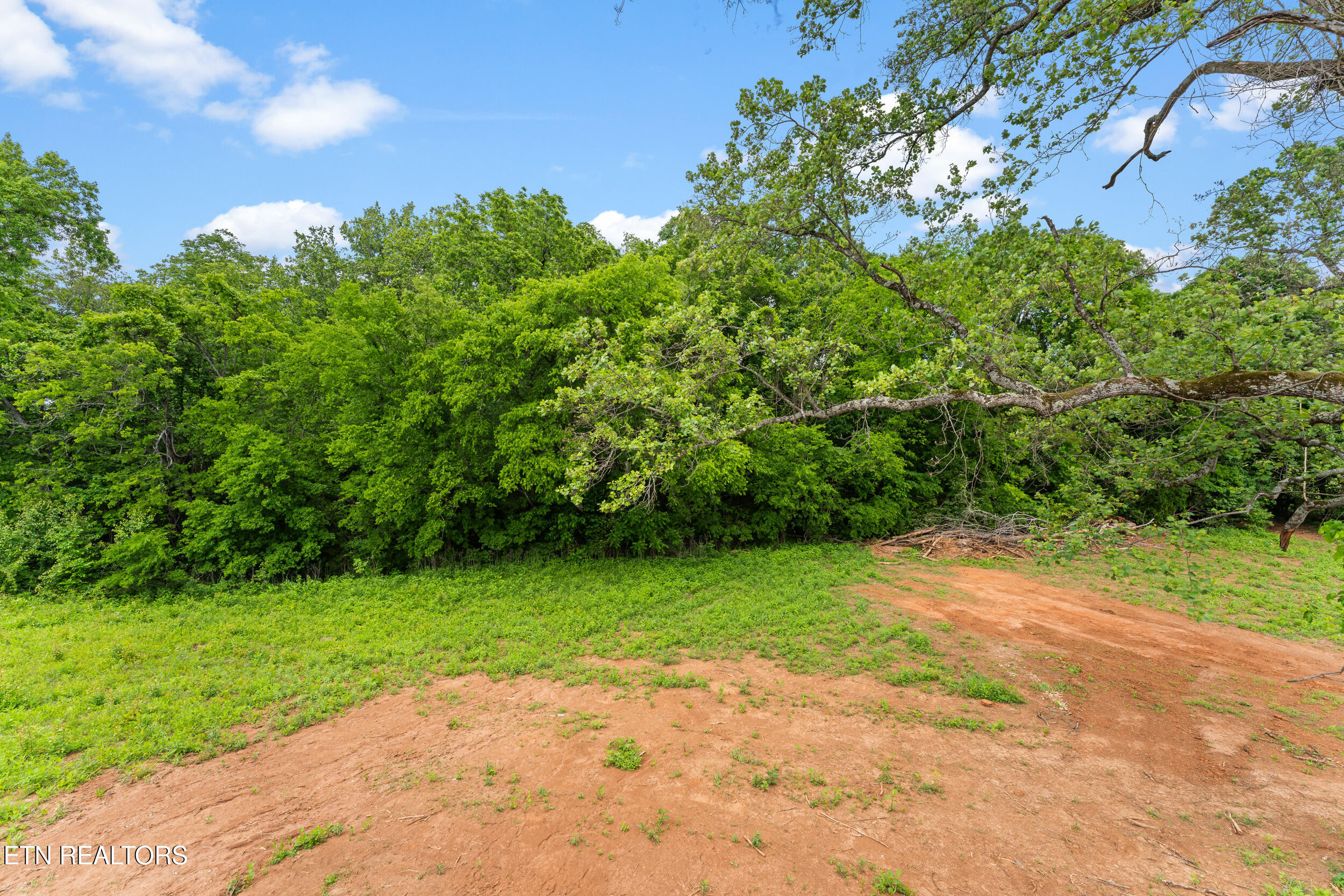 2102 Kings View Loop Seymour TN 37865