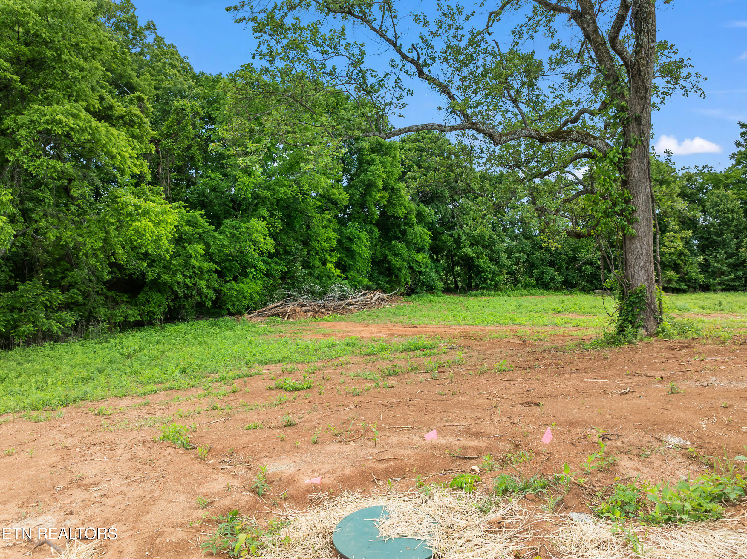 2102 Kings View Loop Seymour TN 37865