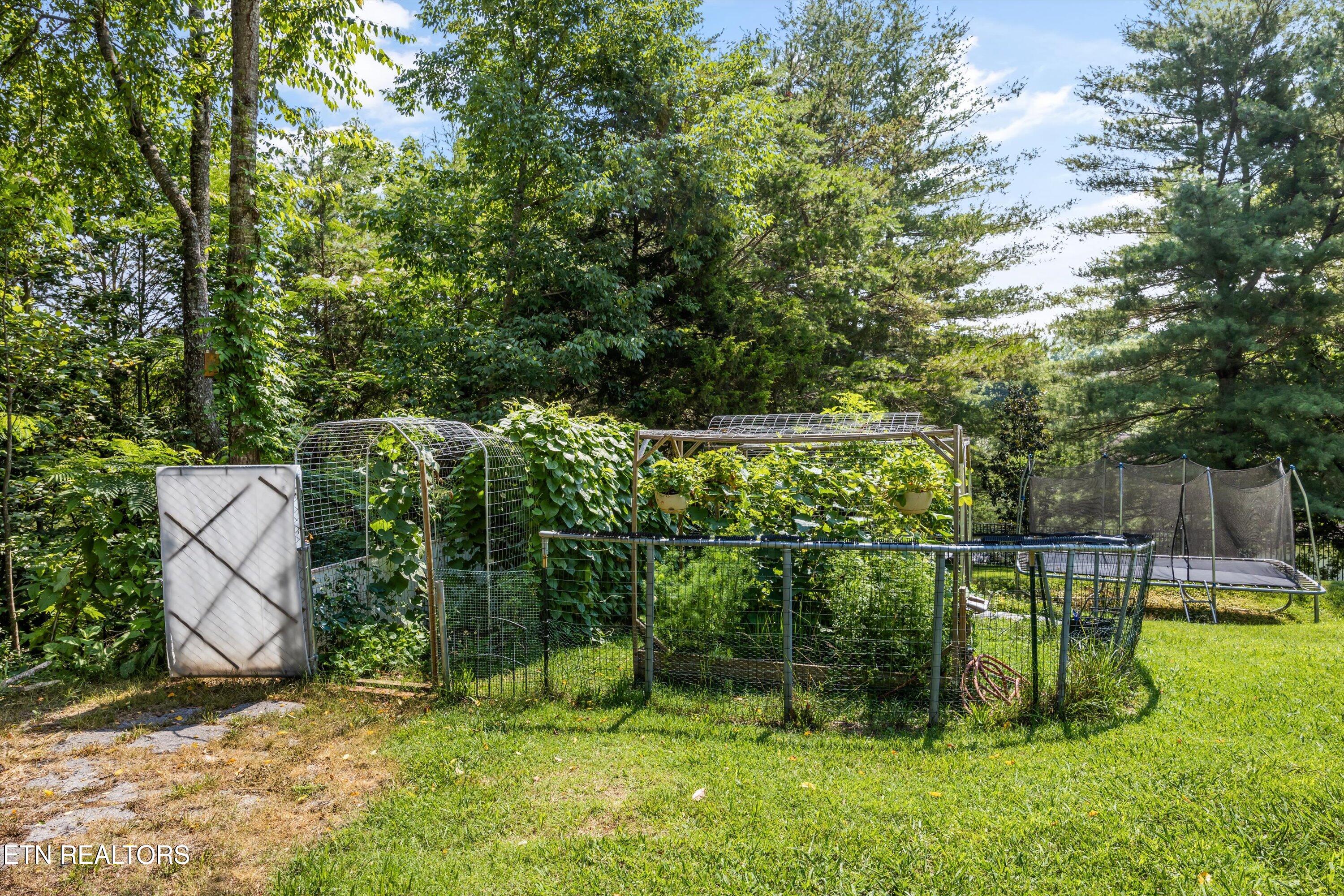33 Riverside Drive Oak Ridge TN 37830
