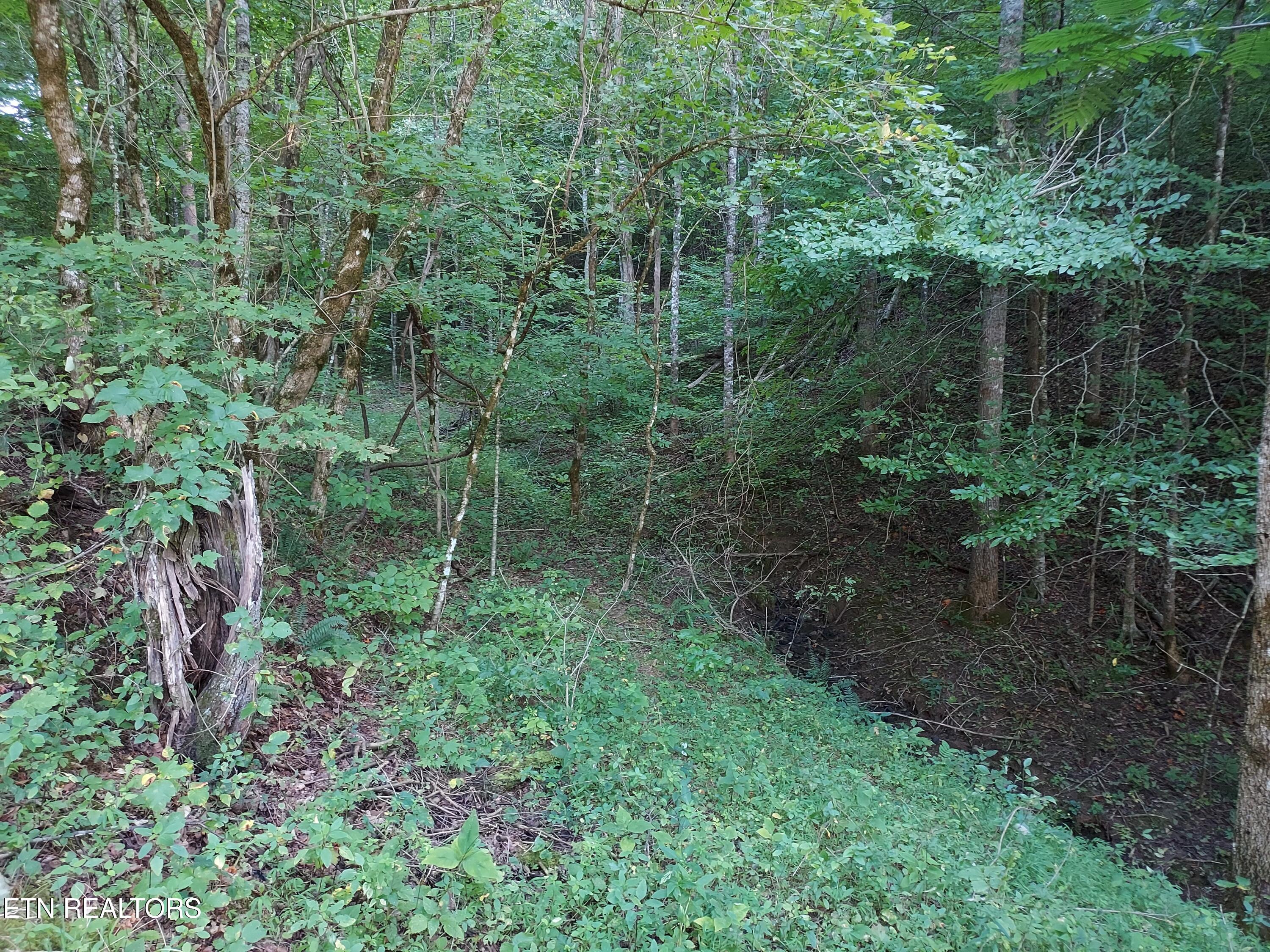 332 Sleepy Hollow Road Sneedville TN 37869