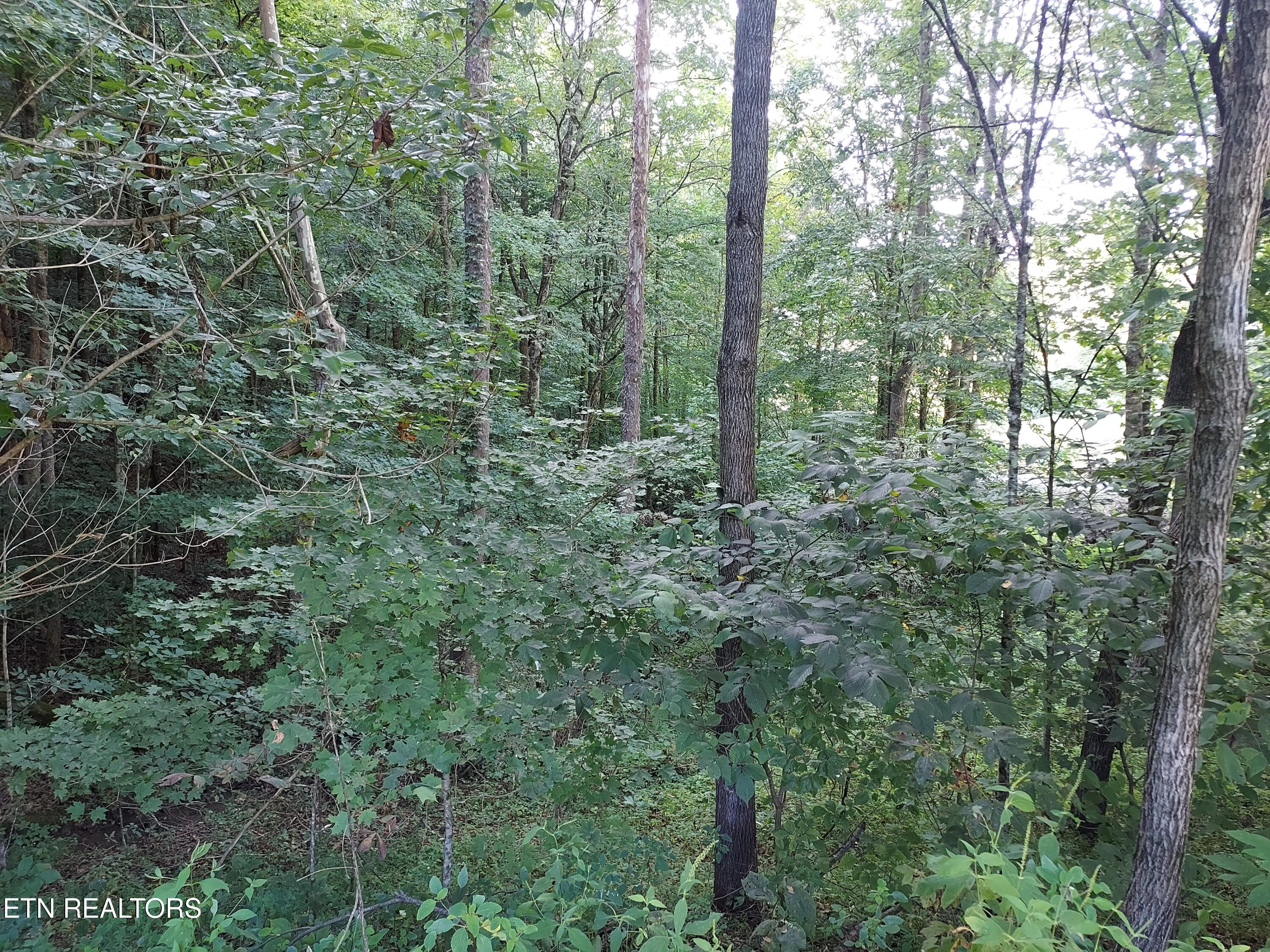 332 Sleepy Hollow Road Sneedville TN 37869