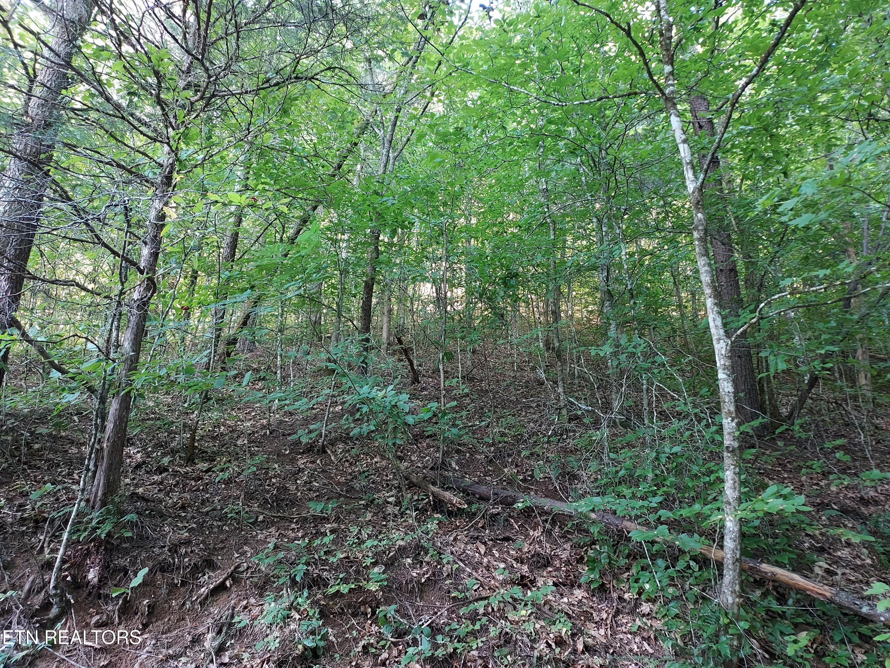 332 Sleepy Hollow Road Sneedville TN 37869