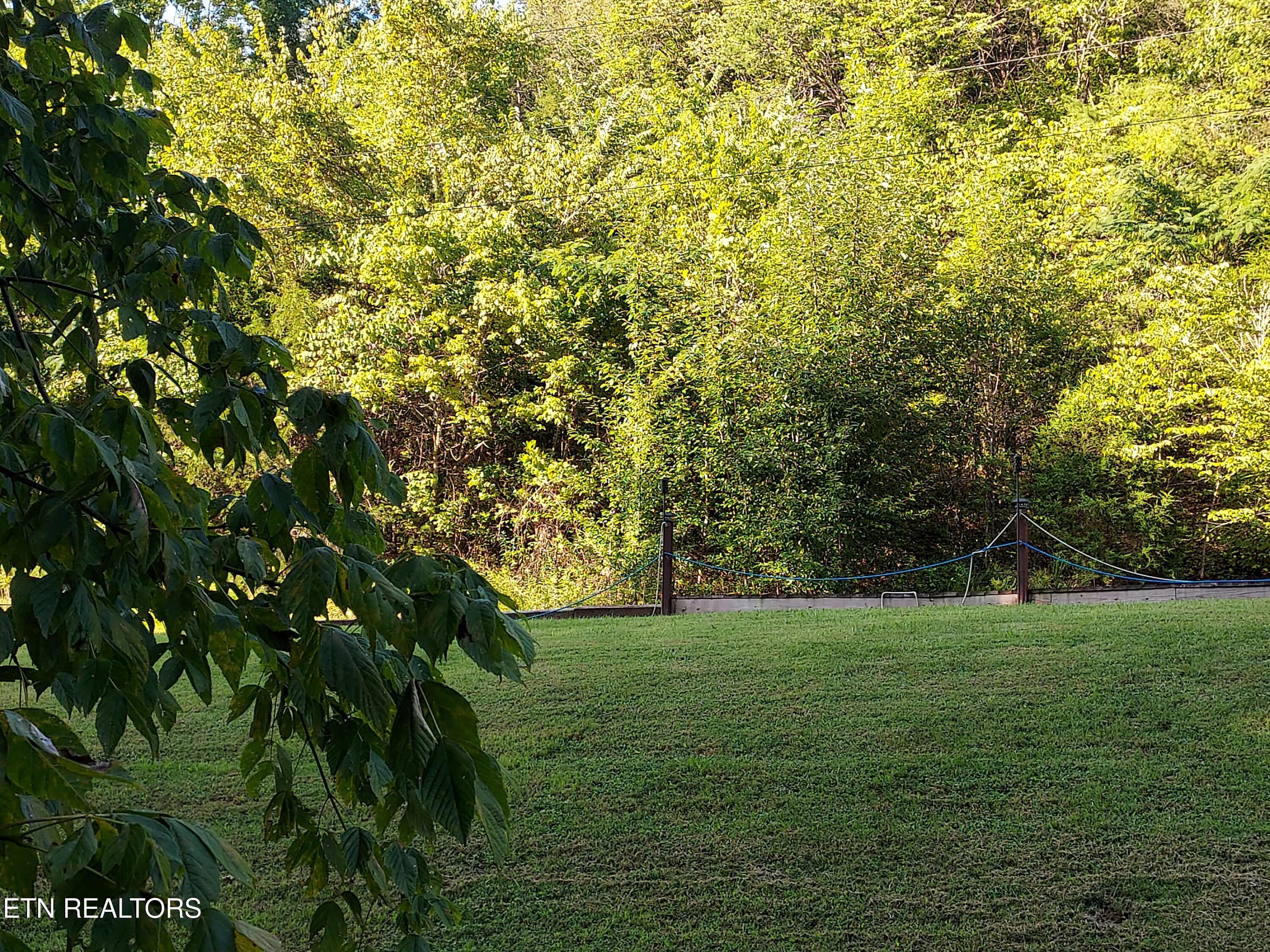 332 Sleepy Hollow Road Sneedville TN 37869