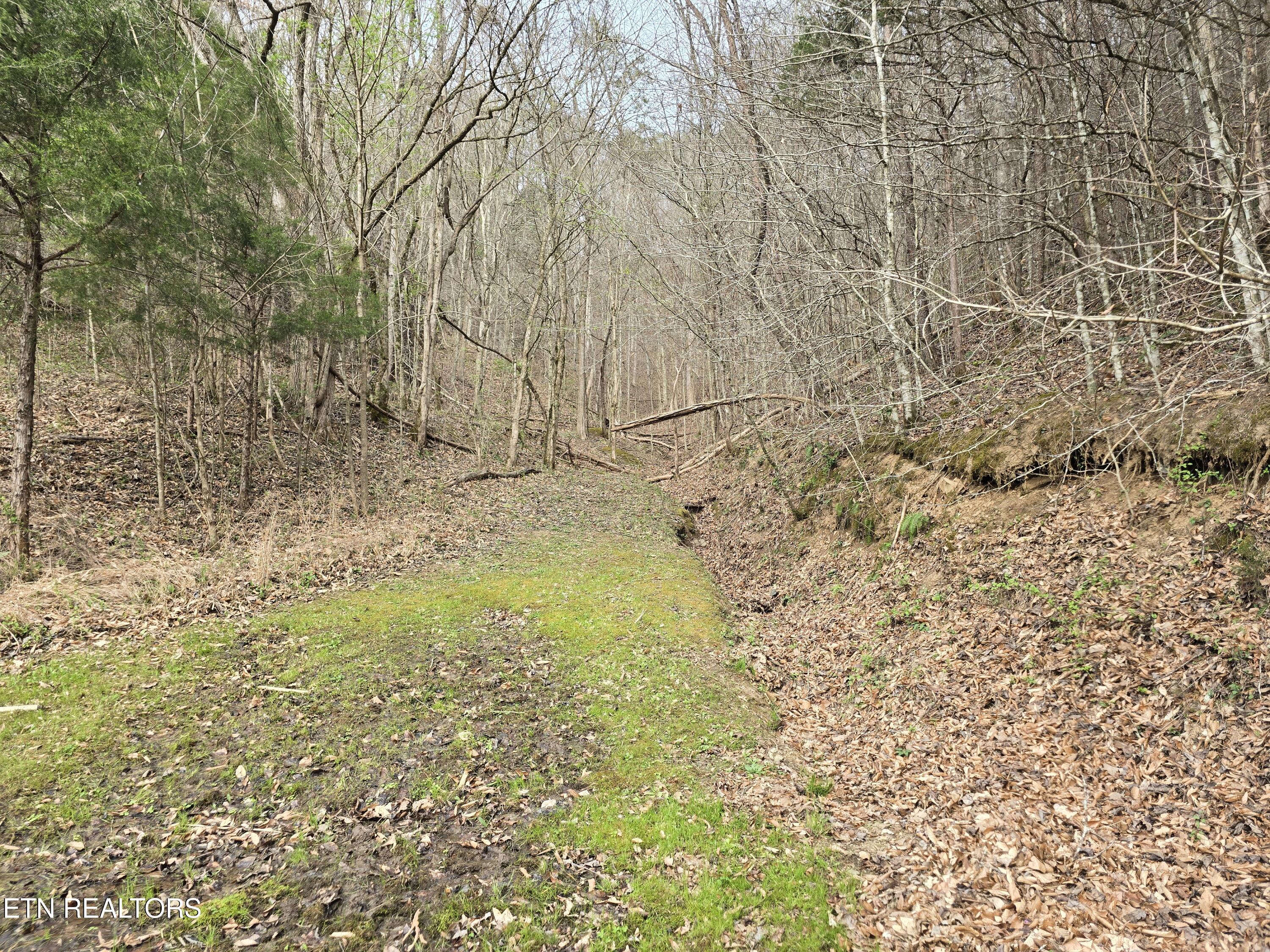 332 Sleepy Hollow Road Sneedville TN 37869