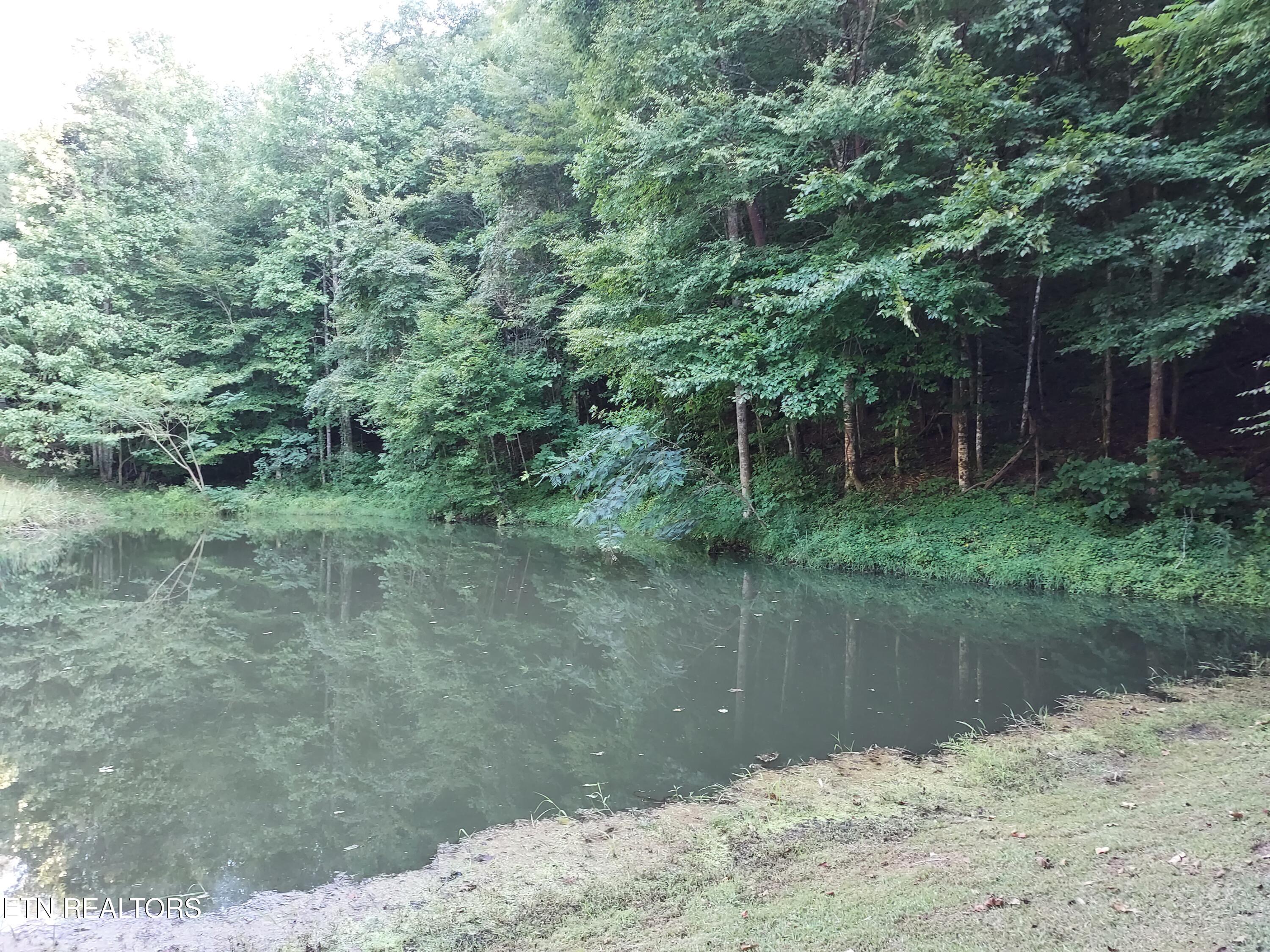 332 Sleepy Hollow Road Sneedville TN 37869
