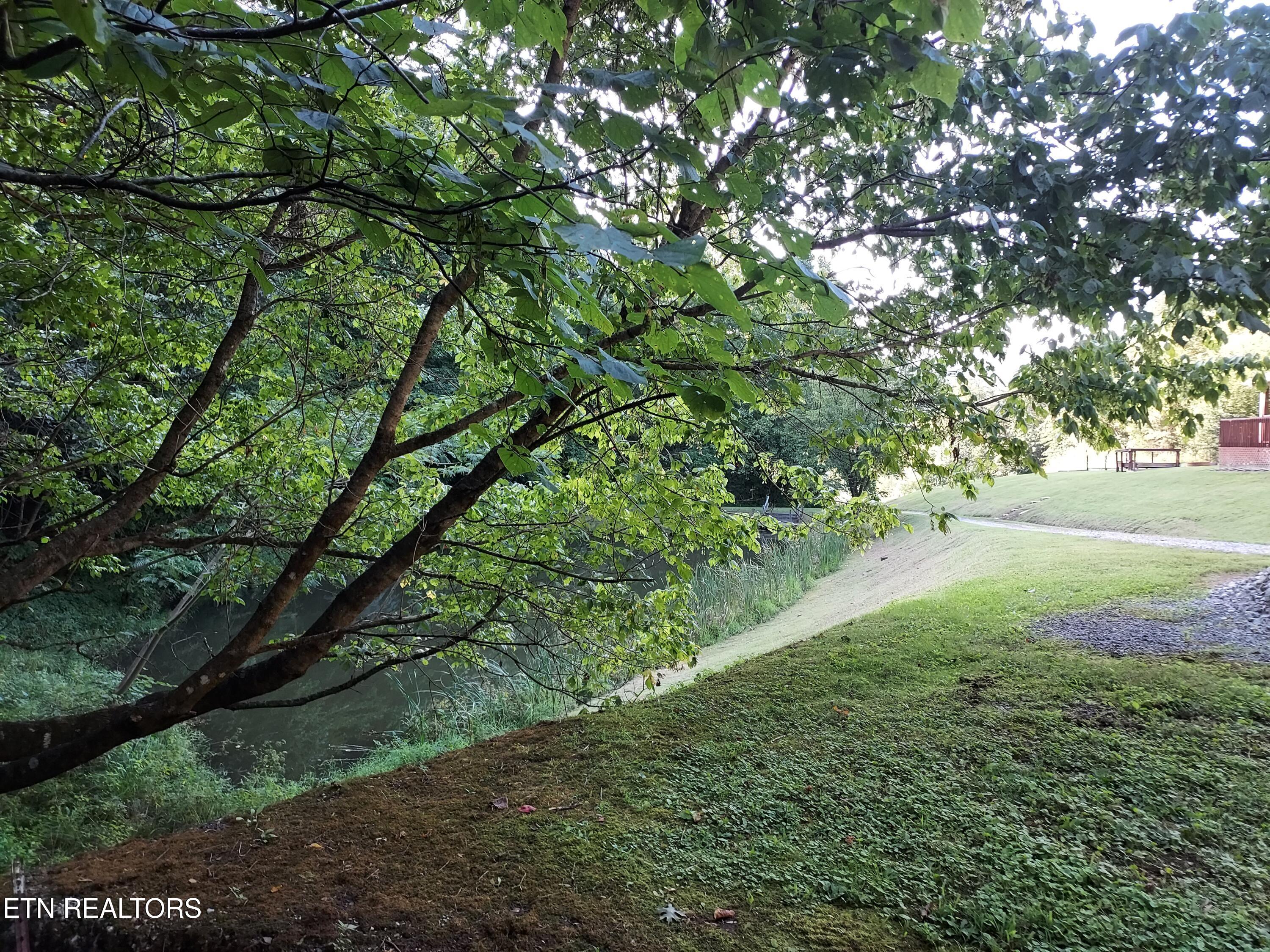 332 Sleepy Hollow Road Sneedville TN 37869