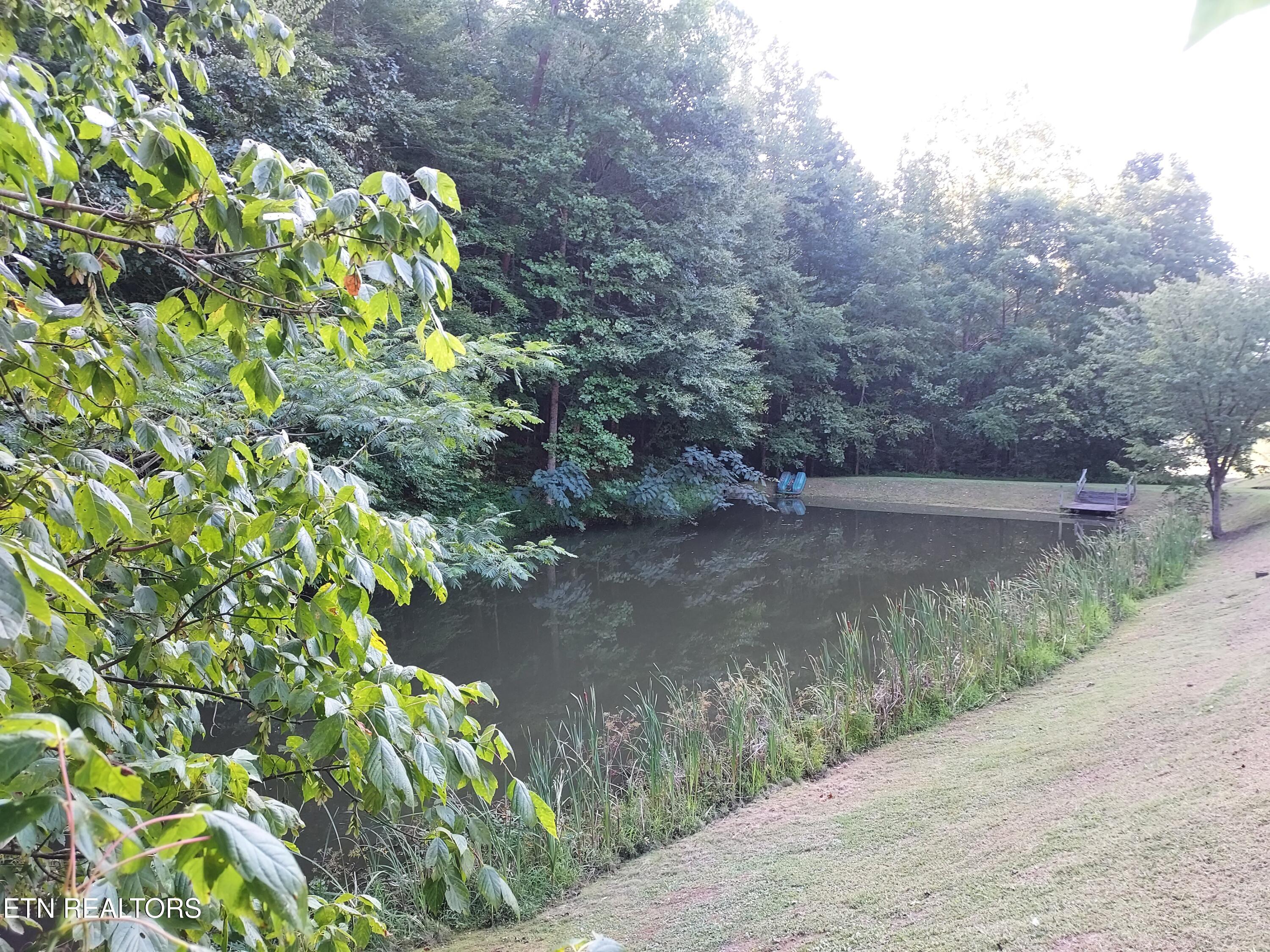 332 Sleepy Hollow Road Sneedville TN 37869