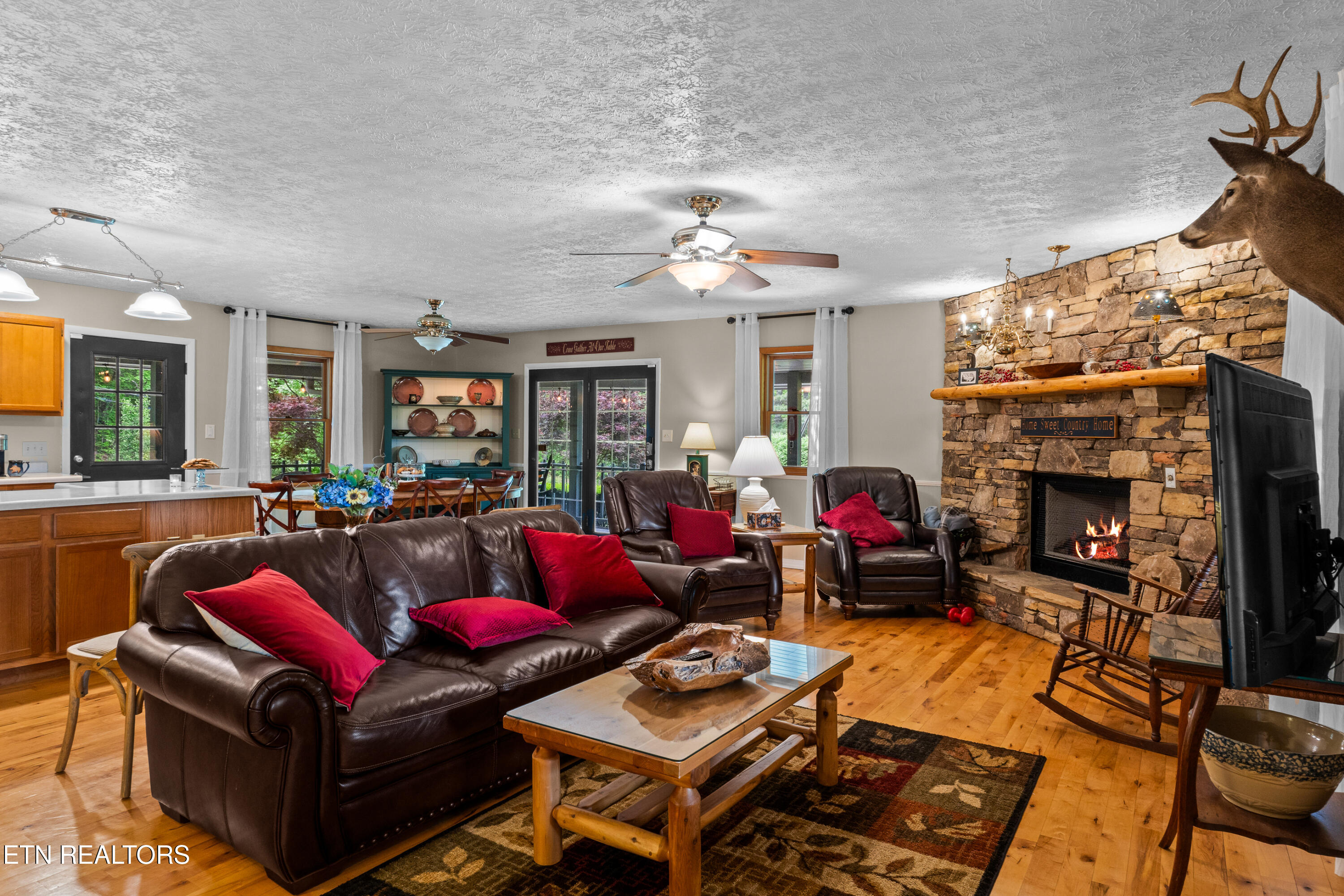 1043 Reagan Springs Road Townsend TN 37882