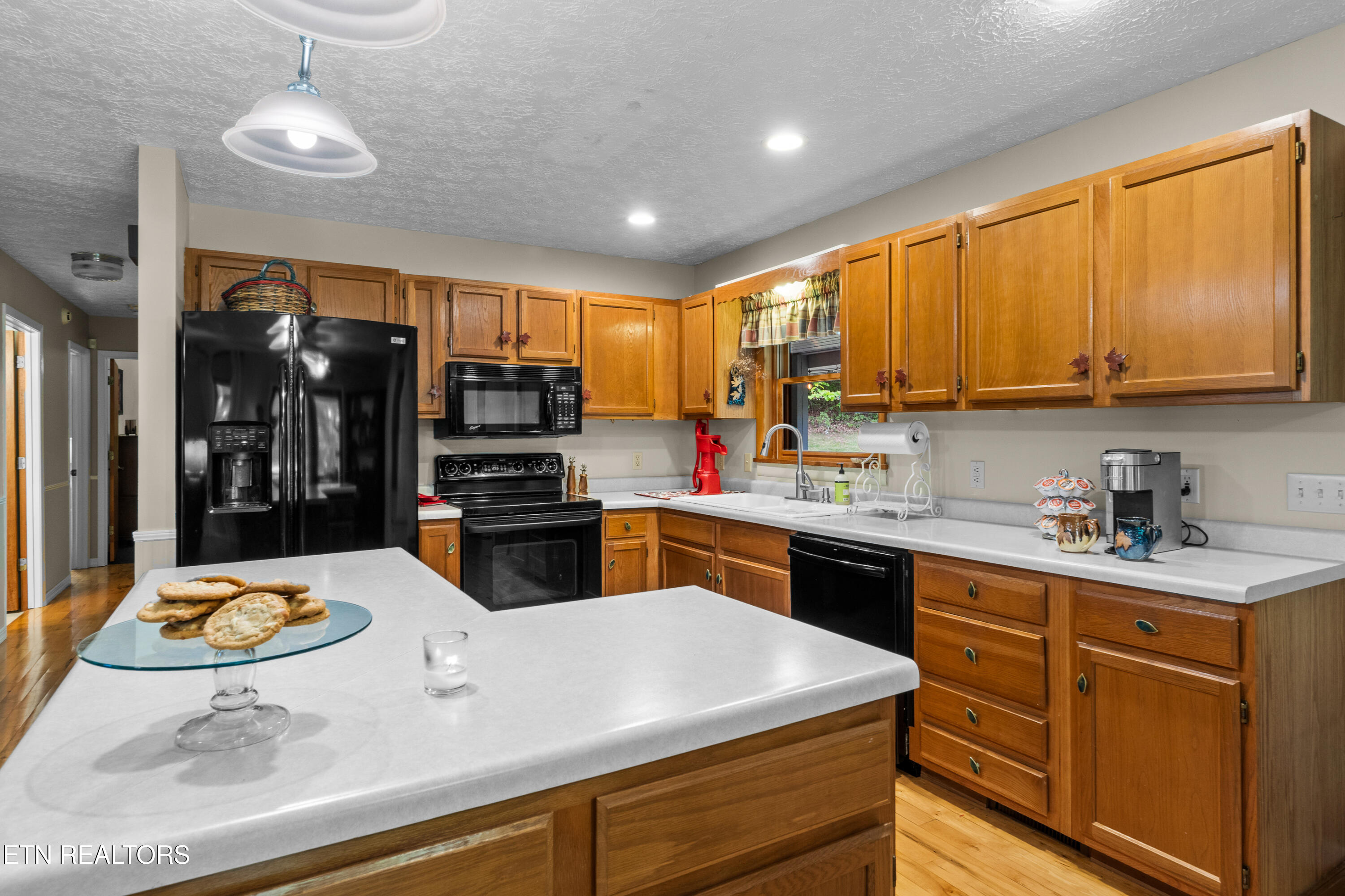 1043 Reagan Springs Road Townsend TN 37882