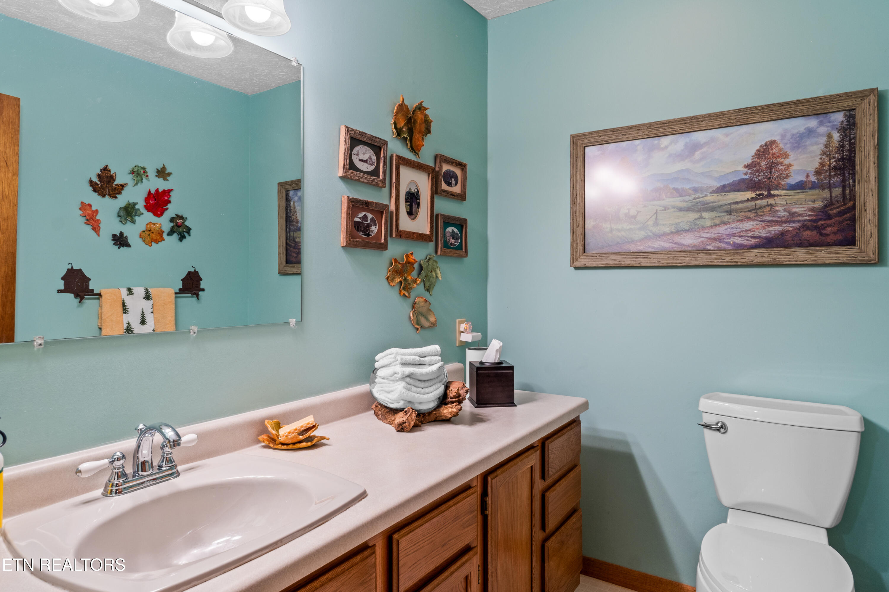 1043 Reagan Springs Road Townsend TN 37882