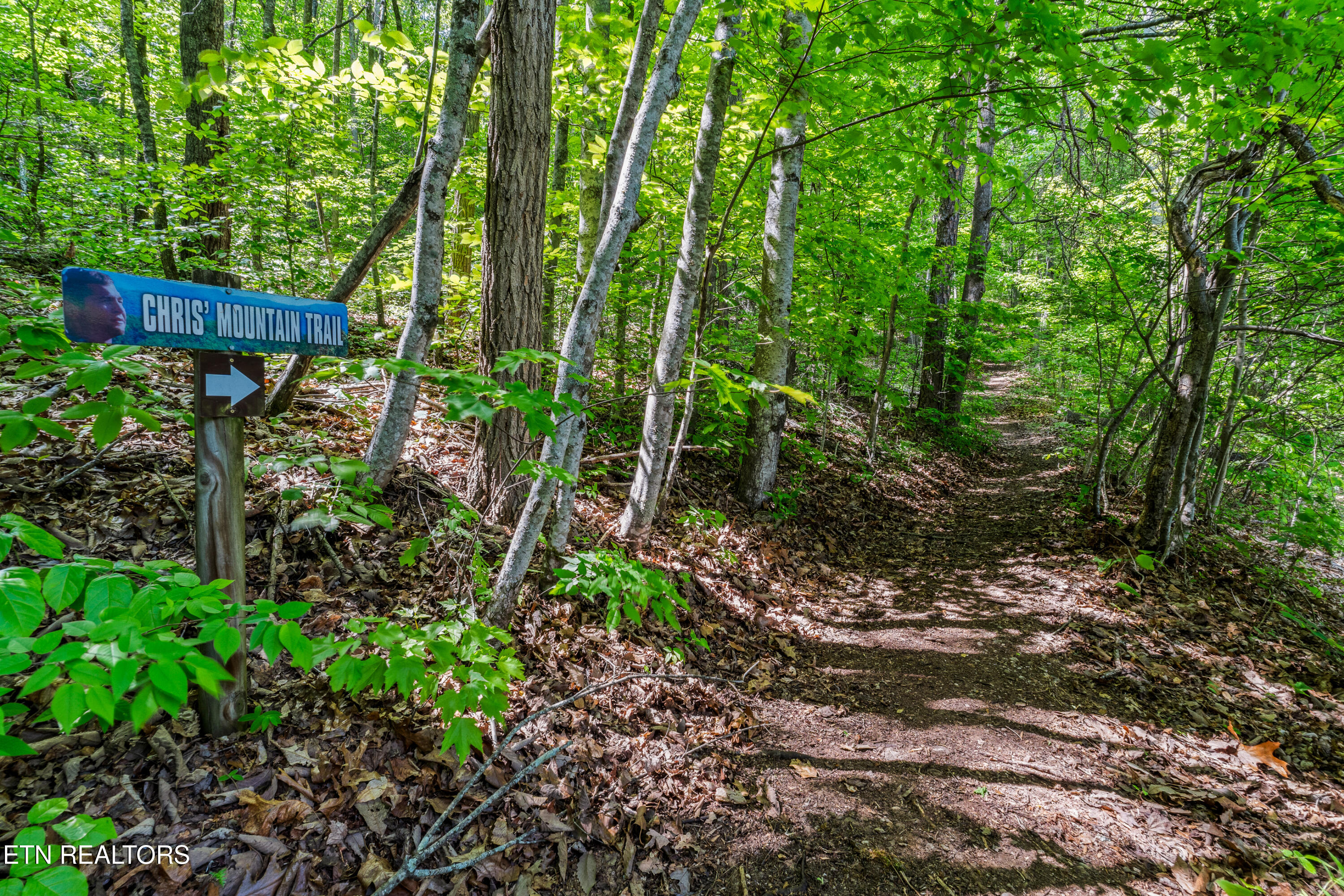 1043 Reagan Springs Road Townsend TN 37882