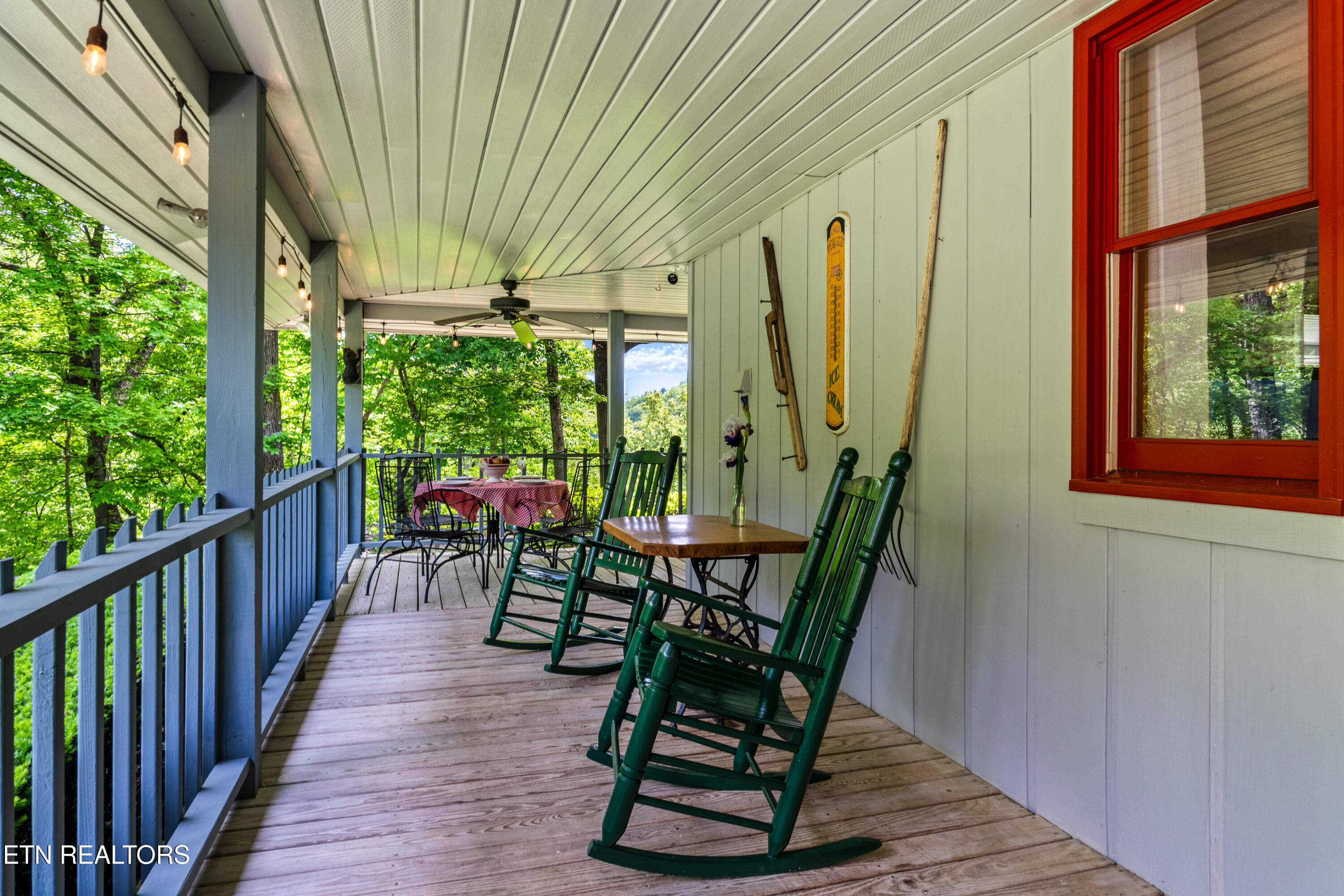 1043 Reagan Springs Road Townsend TN 37882