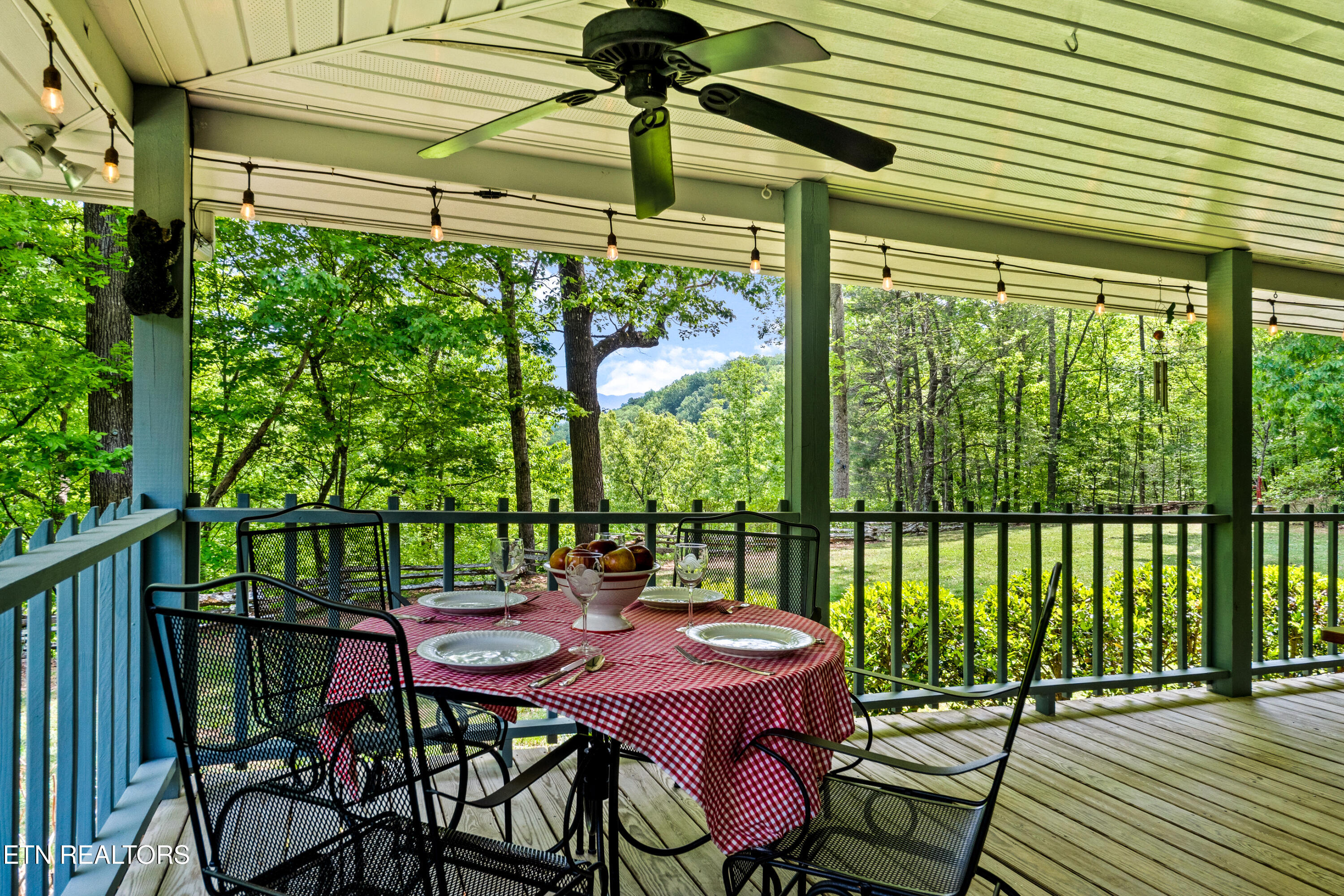 1043 Reagan Springs Road Townsend TN 37882