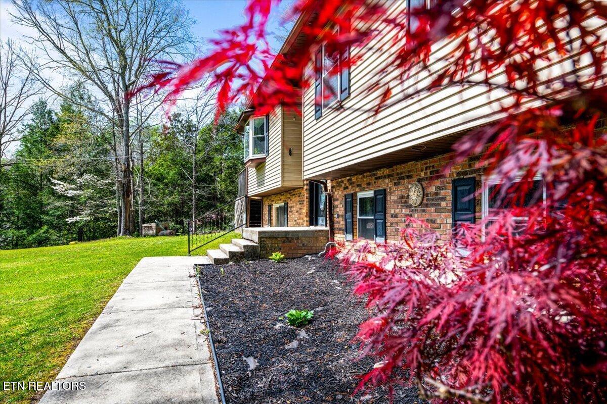384 Hc Smith Drive Oneida TN 37841
