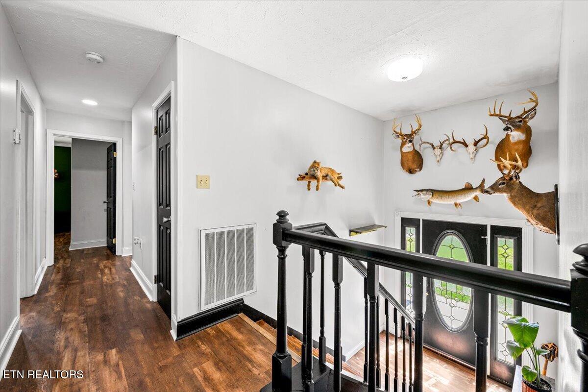 384 Hc Smith Drive Oneida TN 37841