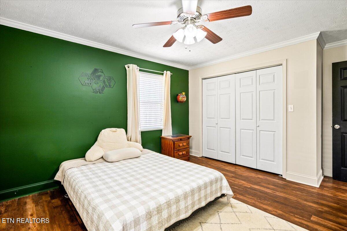 384 Hc Smith Drive Oneida TN 37841