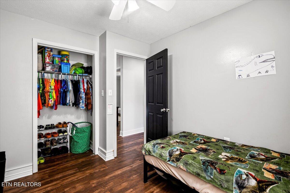 384 Hc Smith Drive Oneida TN 37841