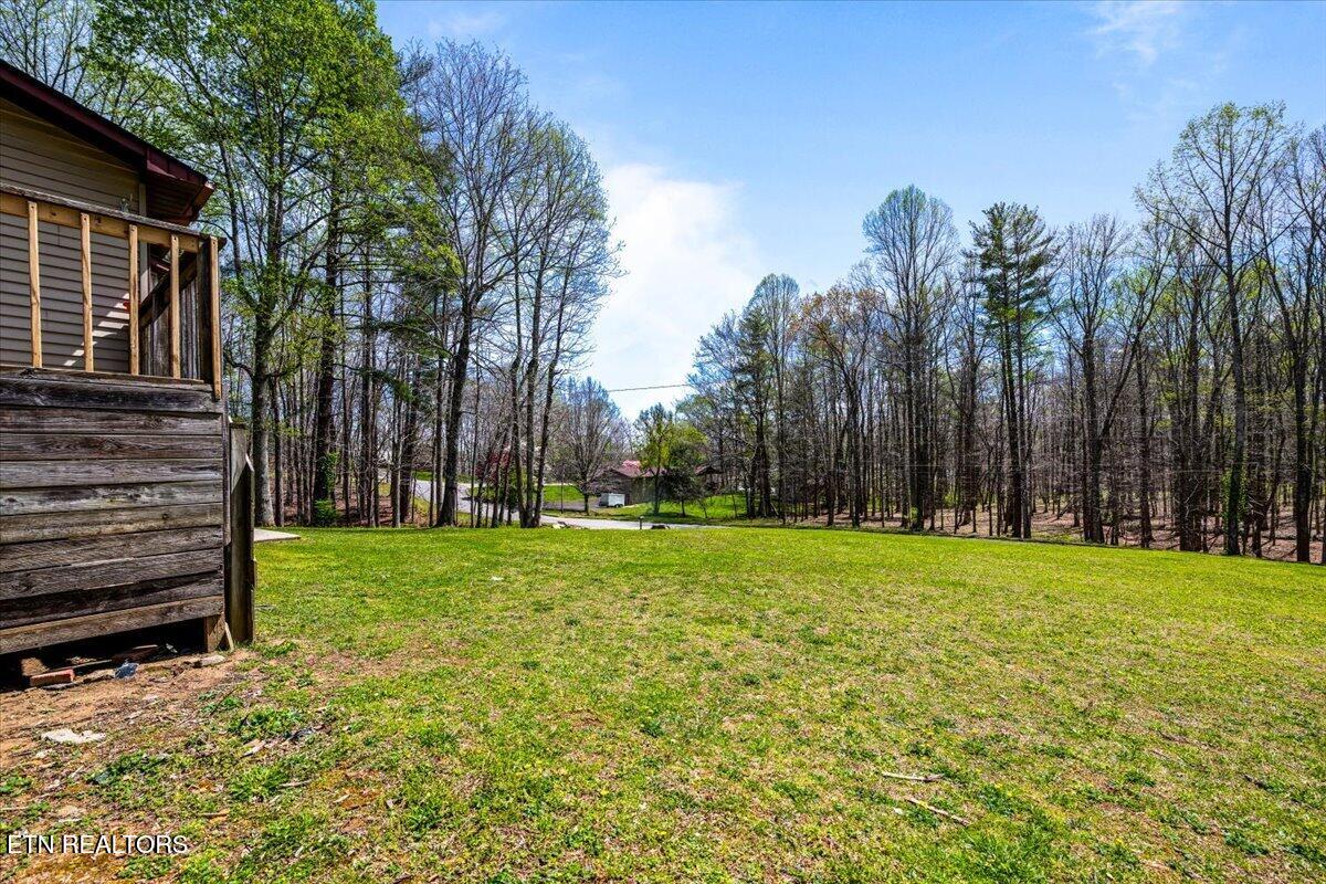 384 Hc Smith Drive Oneida TN 37841