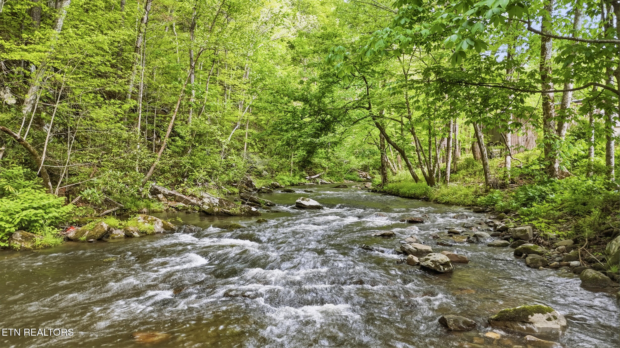 4124 Big Creek Road Hartford TN 37753