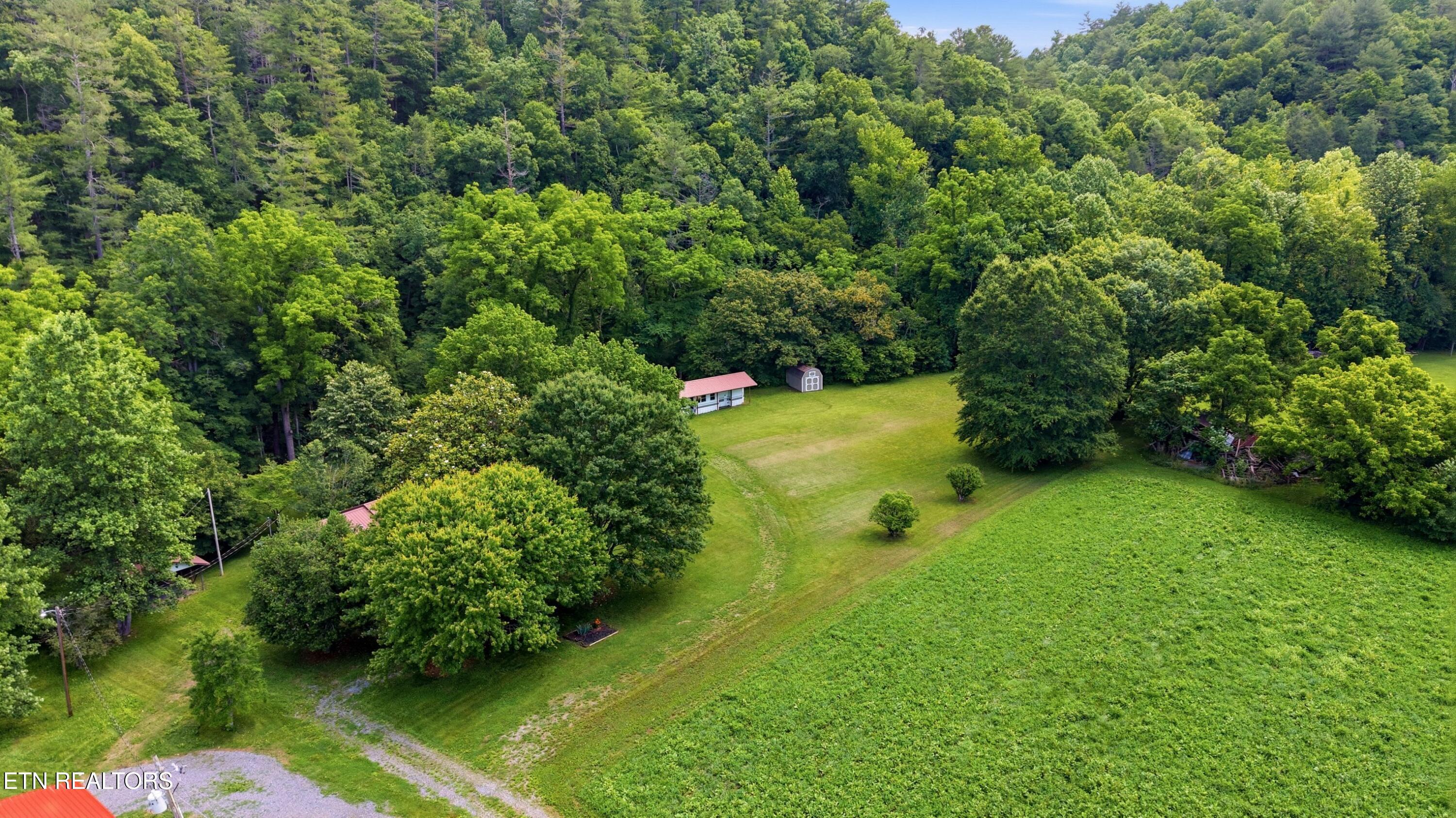 4124 Big Creek Road Hartford TN 37753
