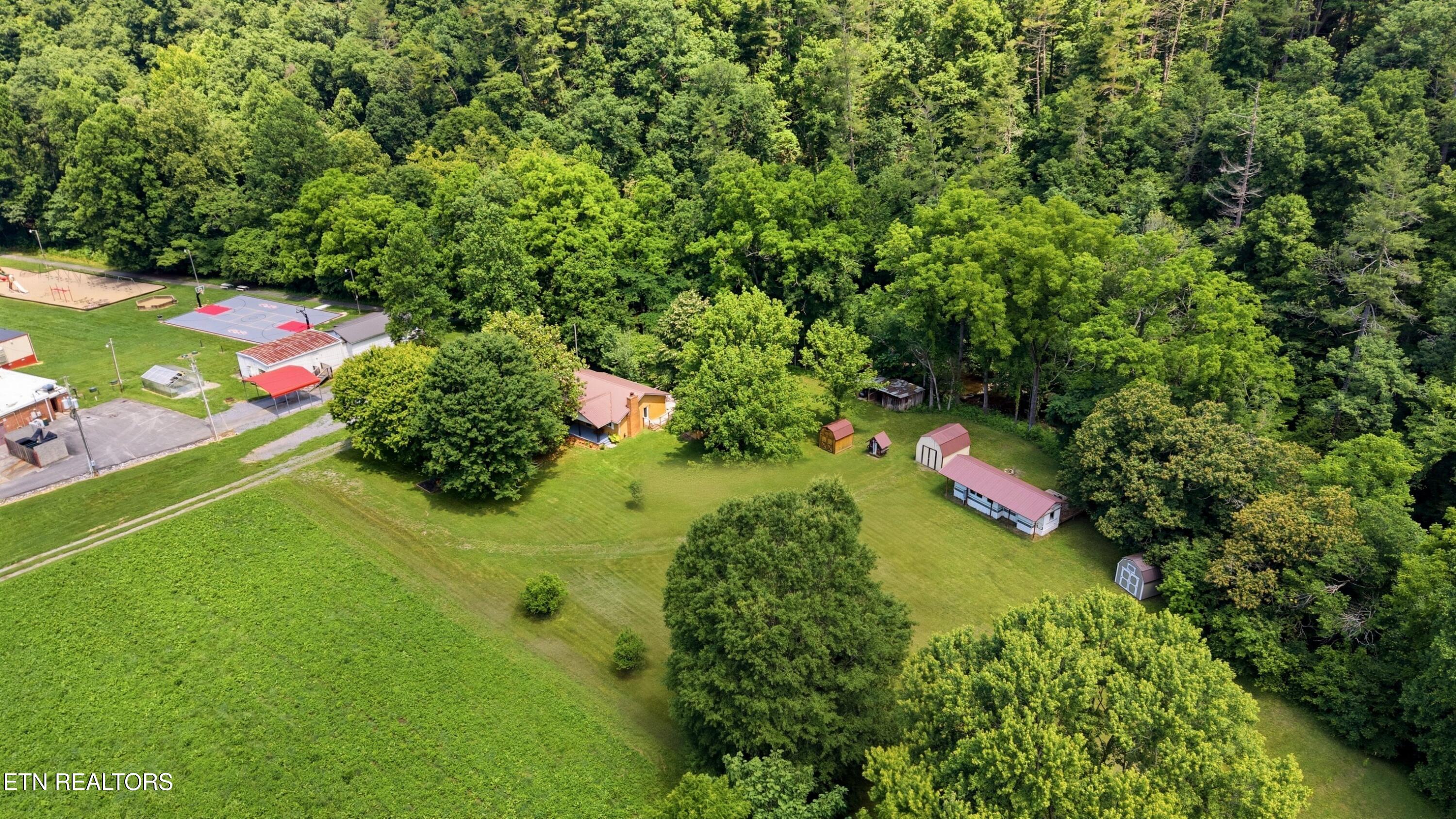 4124 Big Creek Road Hartford TN 37753