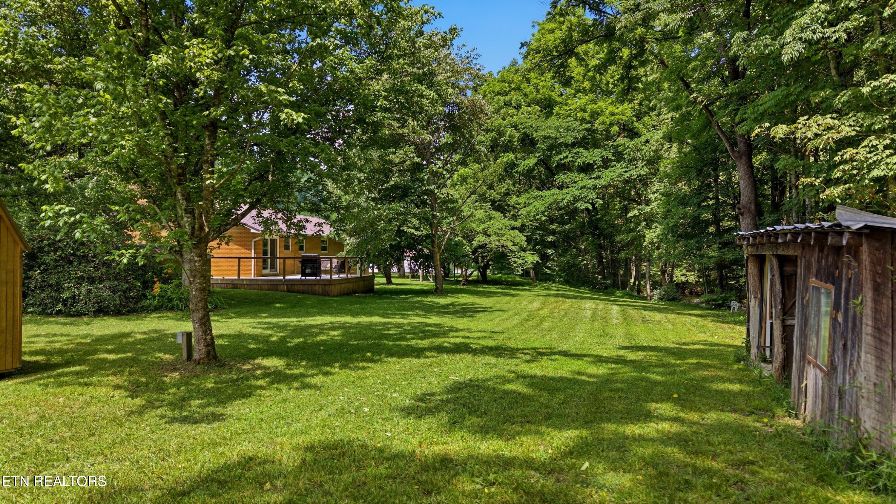 4124 Big Creek Road Hartford TN 37753