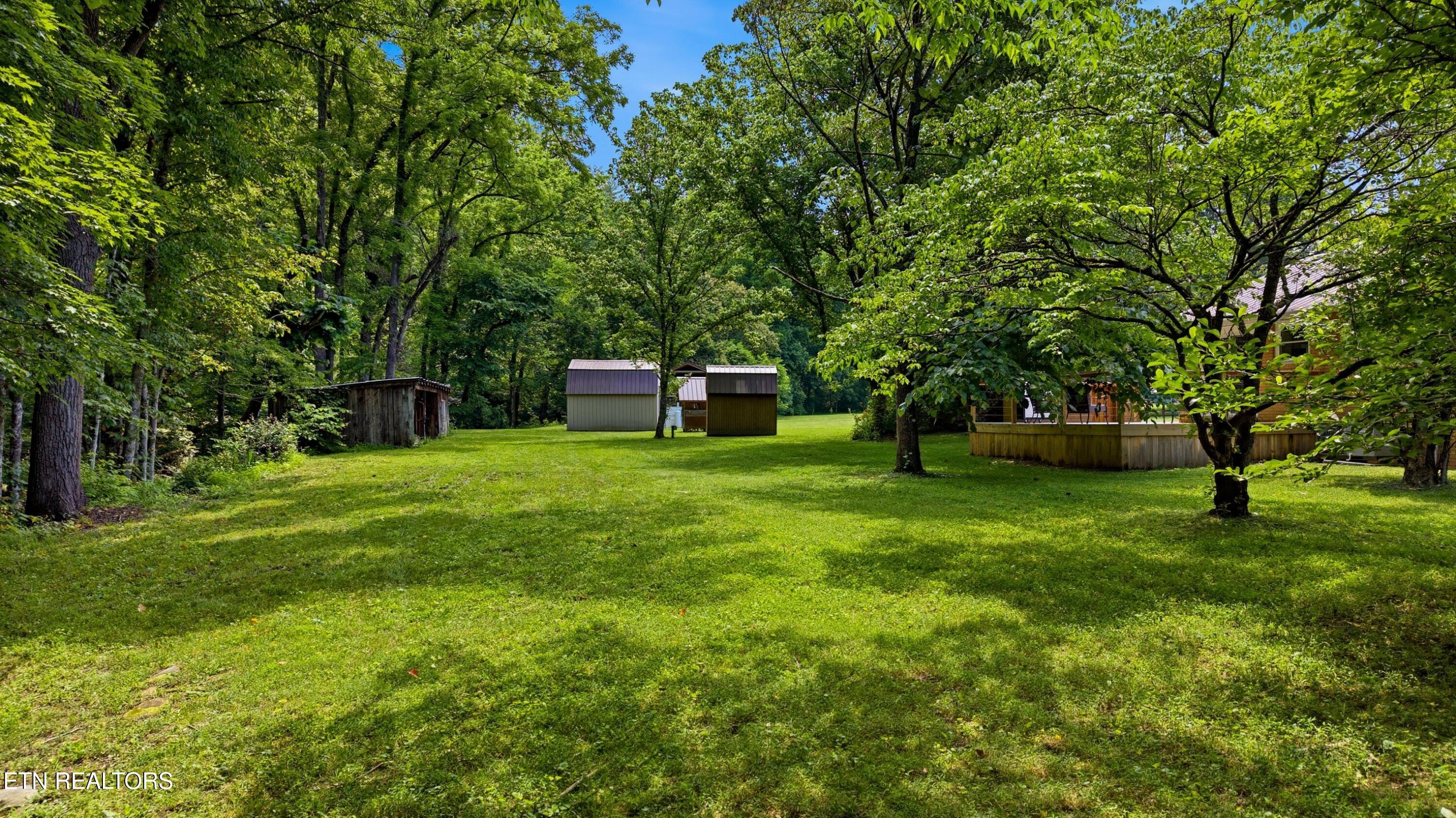 4124 Big Creek Road Hartford TN 37753