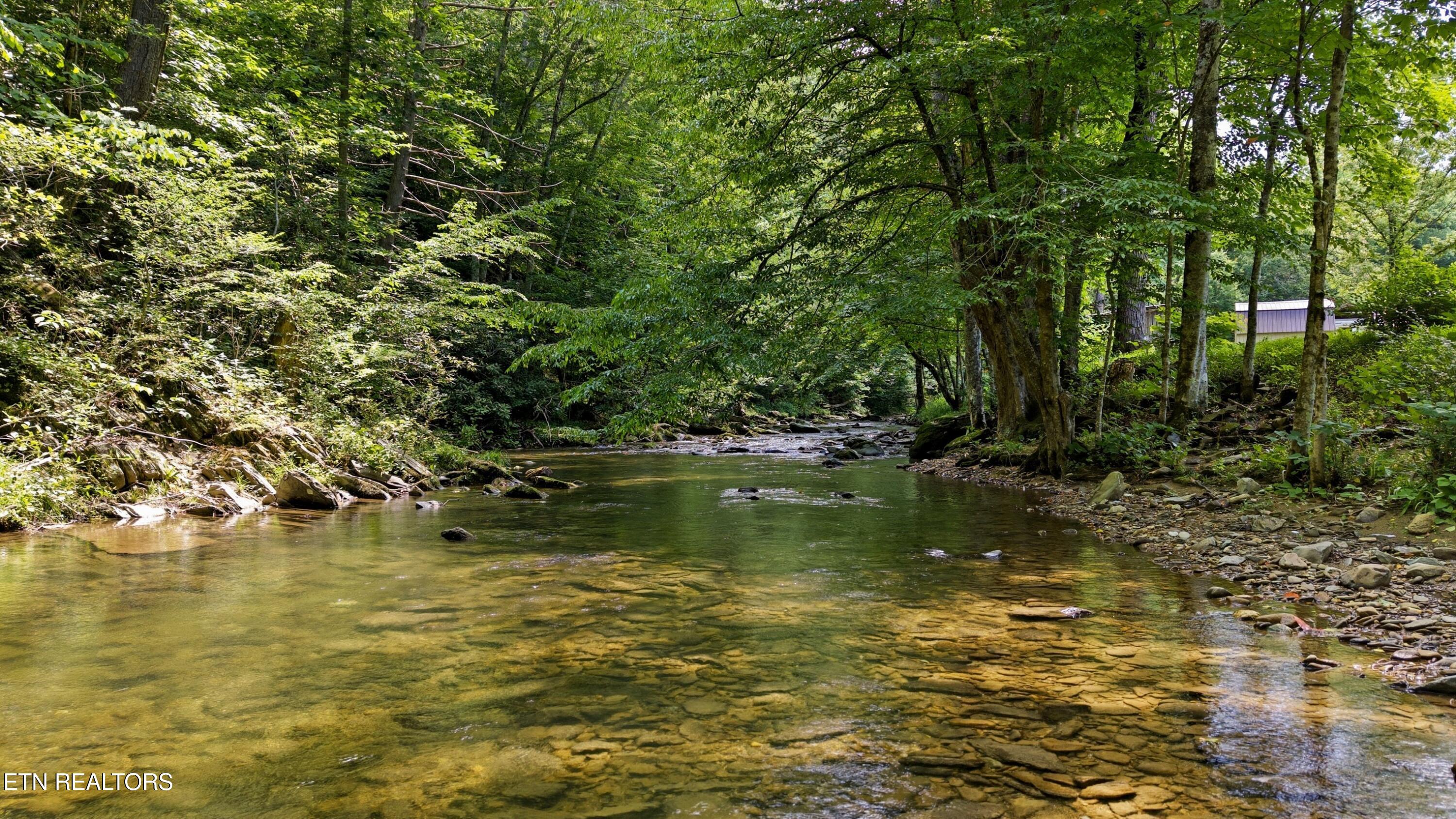 4124 Big Creek Road Hartford TN 37753