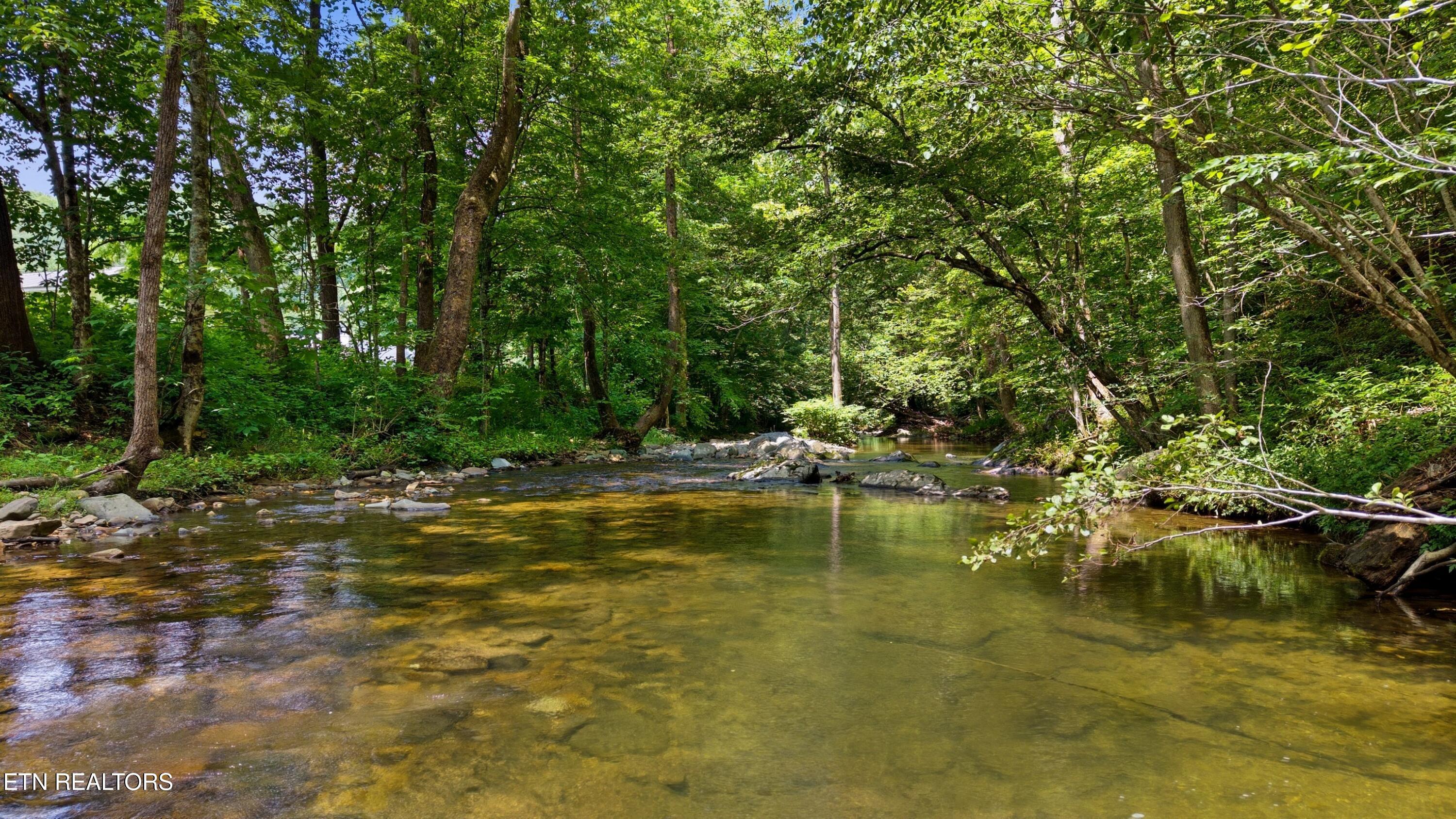 4124 Big Creek Road Hartford TN 37753