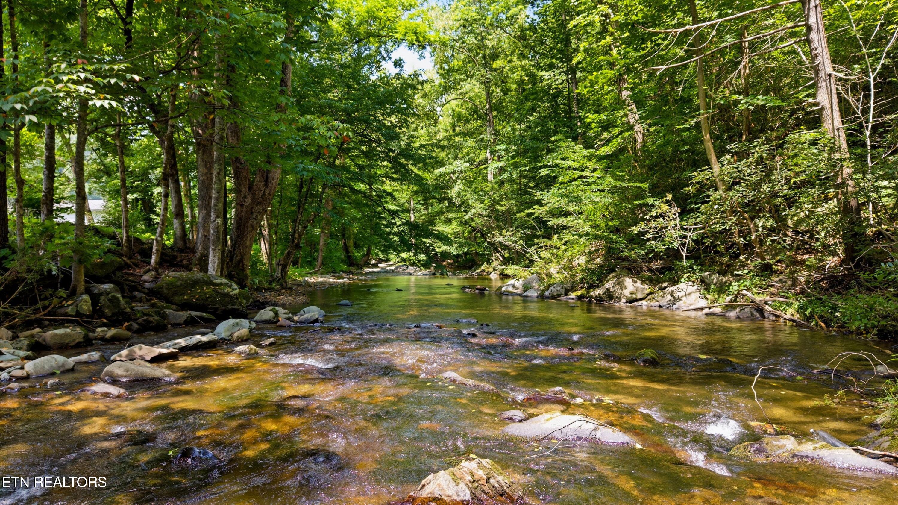 4124 Big Creek Road Hartford TN 37753