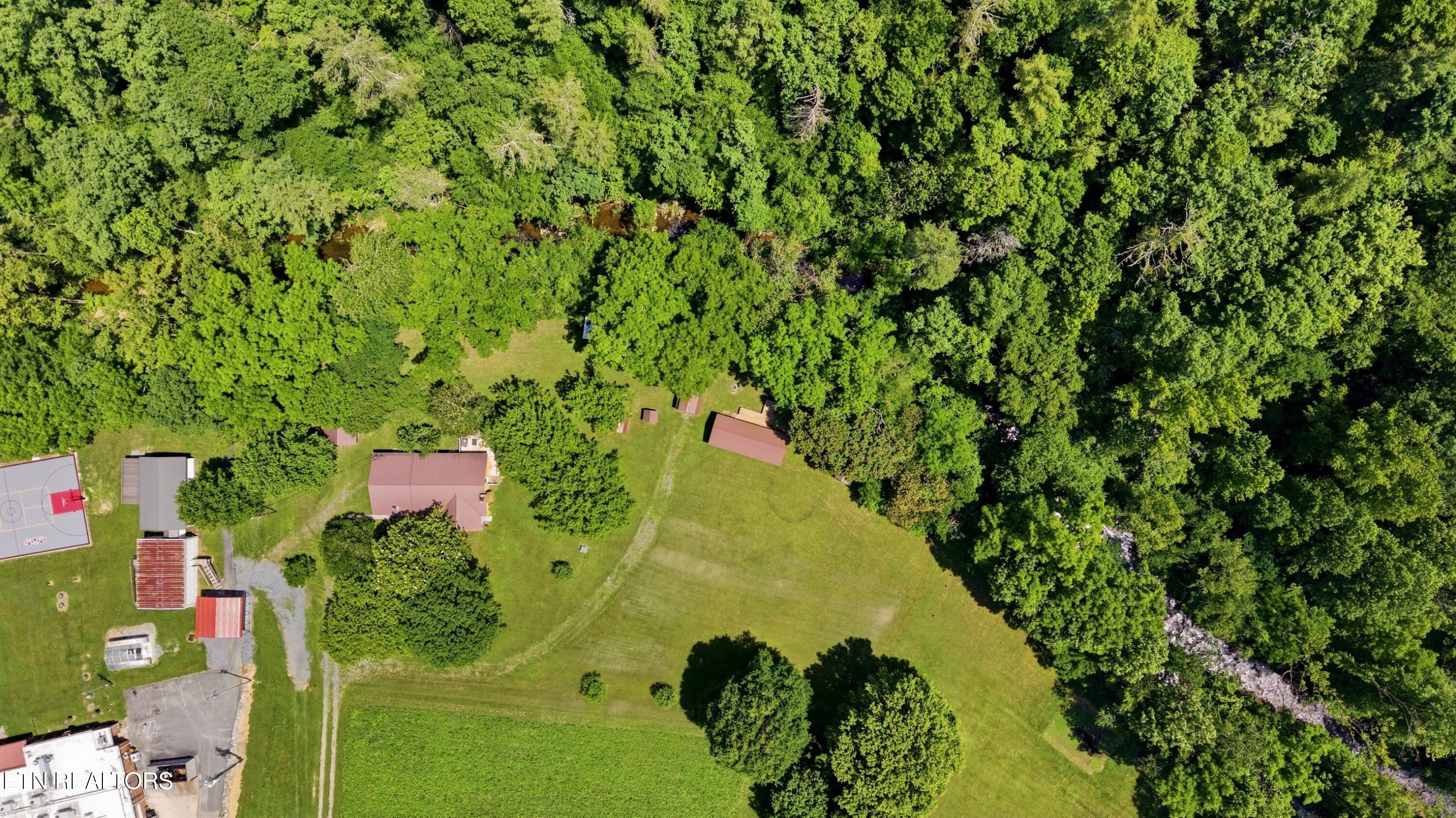 4124 Big Creek Road Hartford TN 37753