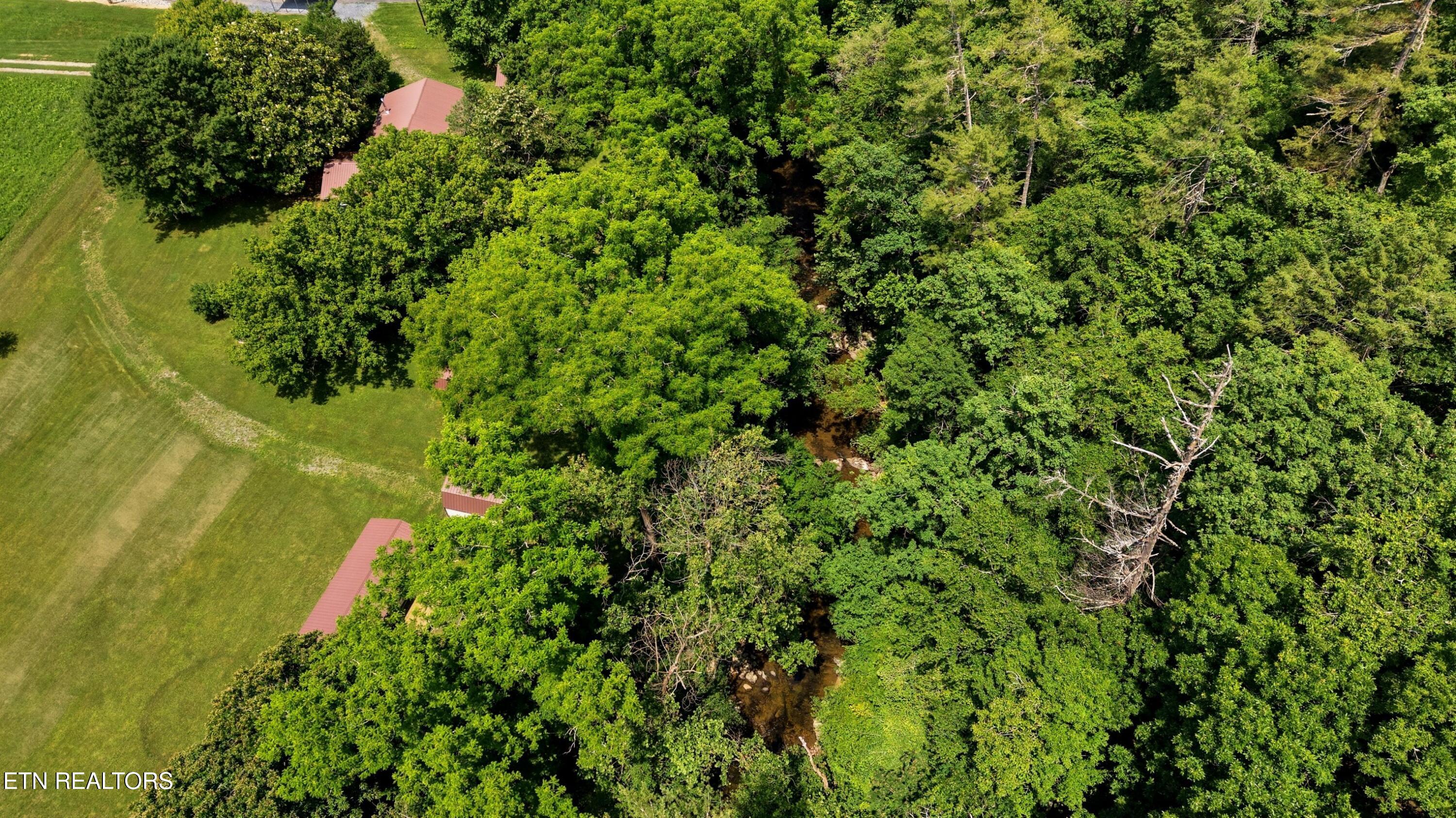 4124 Big Creek Road Hartford TN 37753